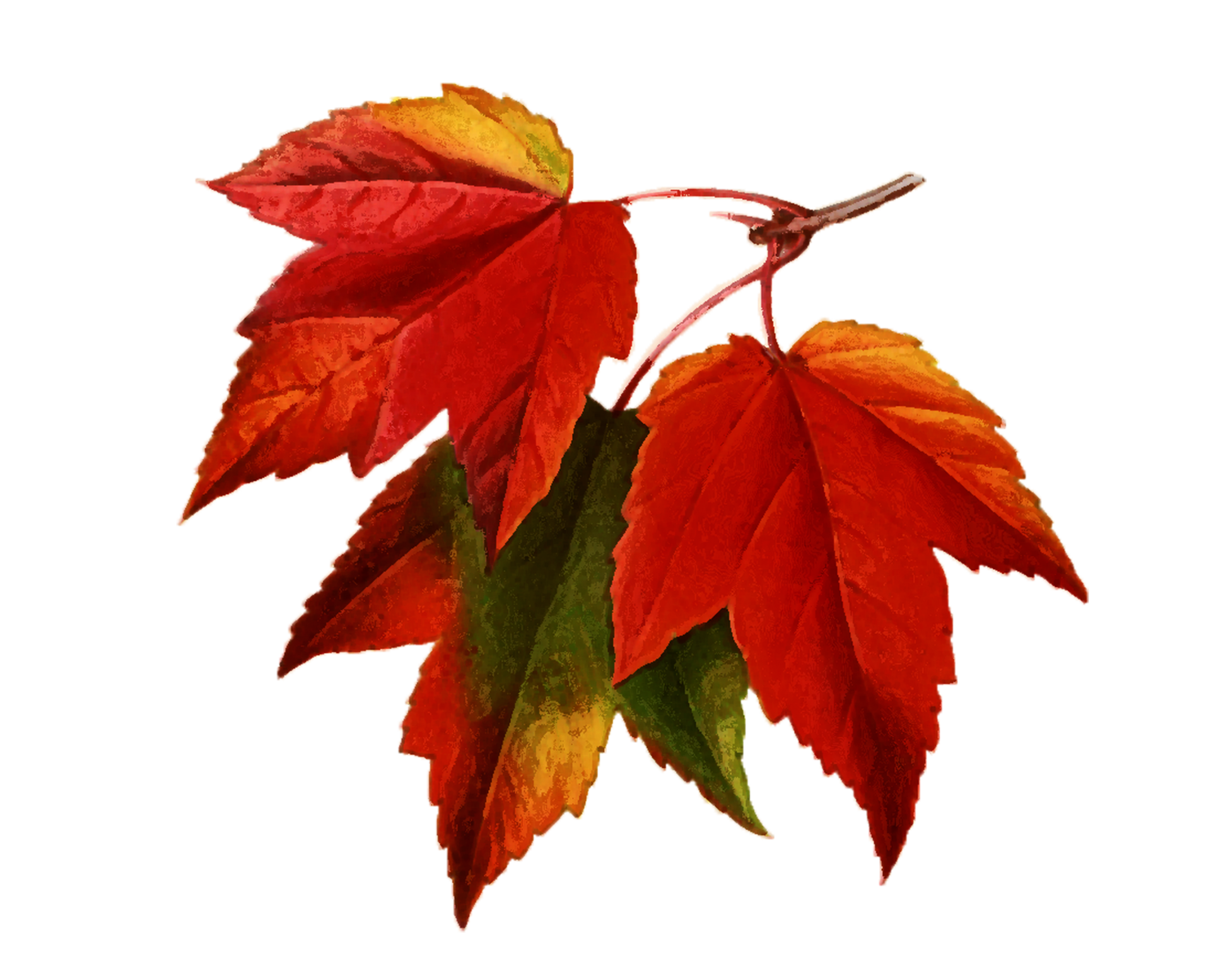 Podzimní listí Akvarelu