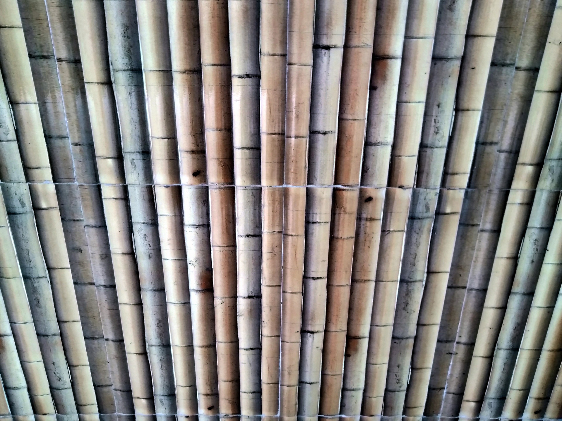 Pared de palo de bambú