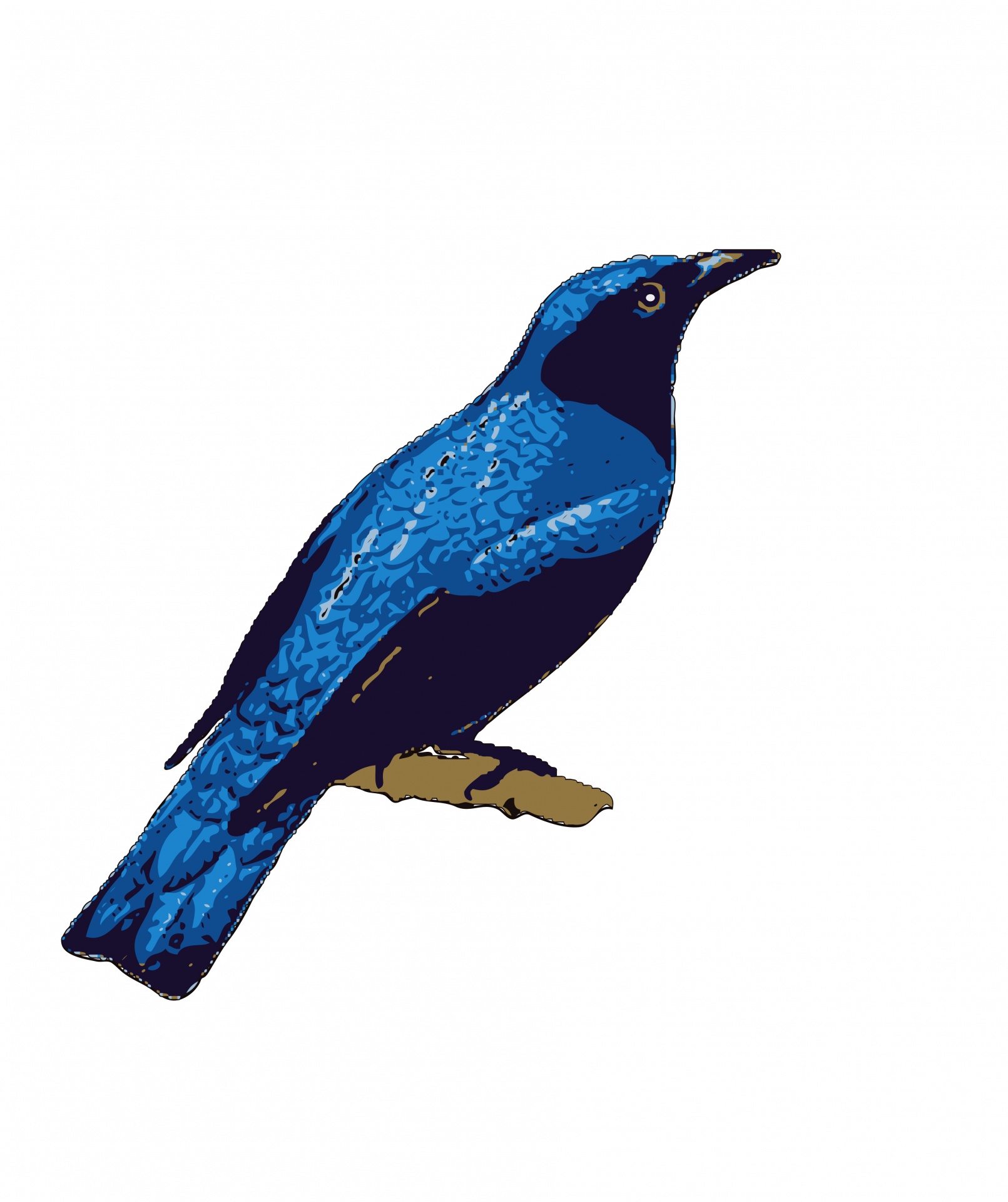 Ilustração do pássaro