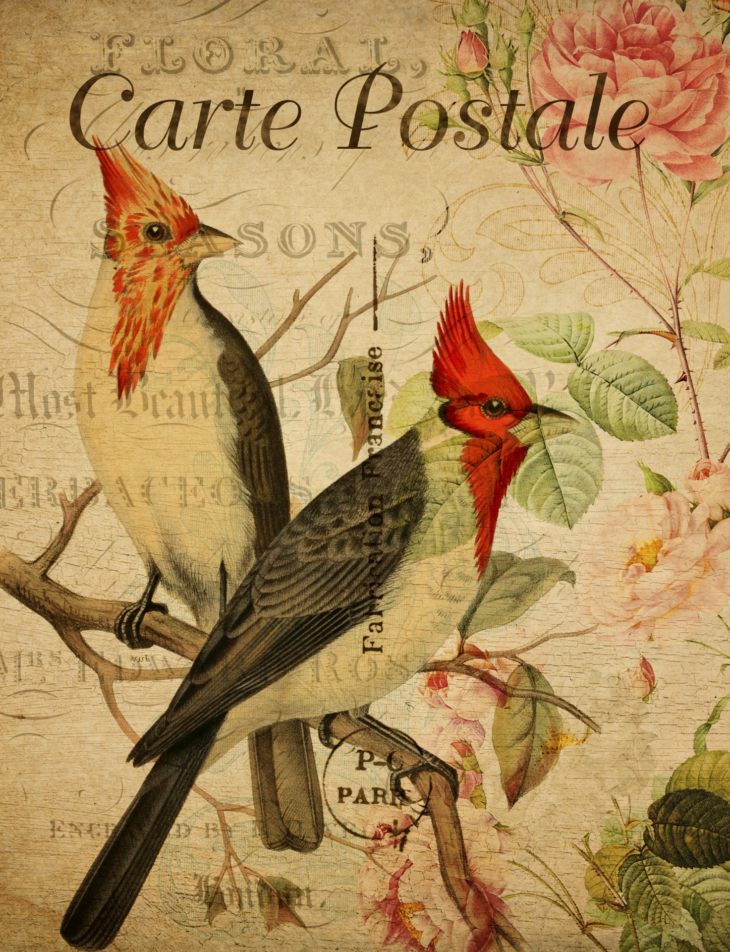 Postal floral vintage de pájaro
