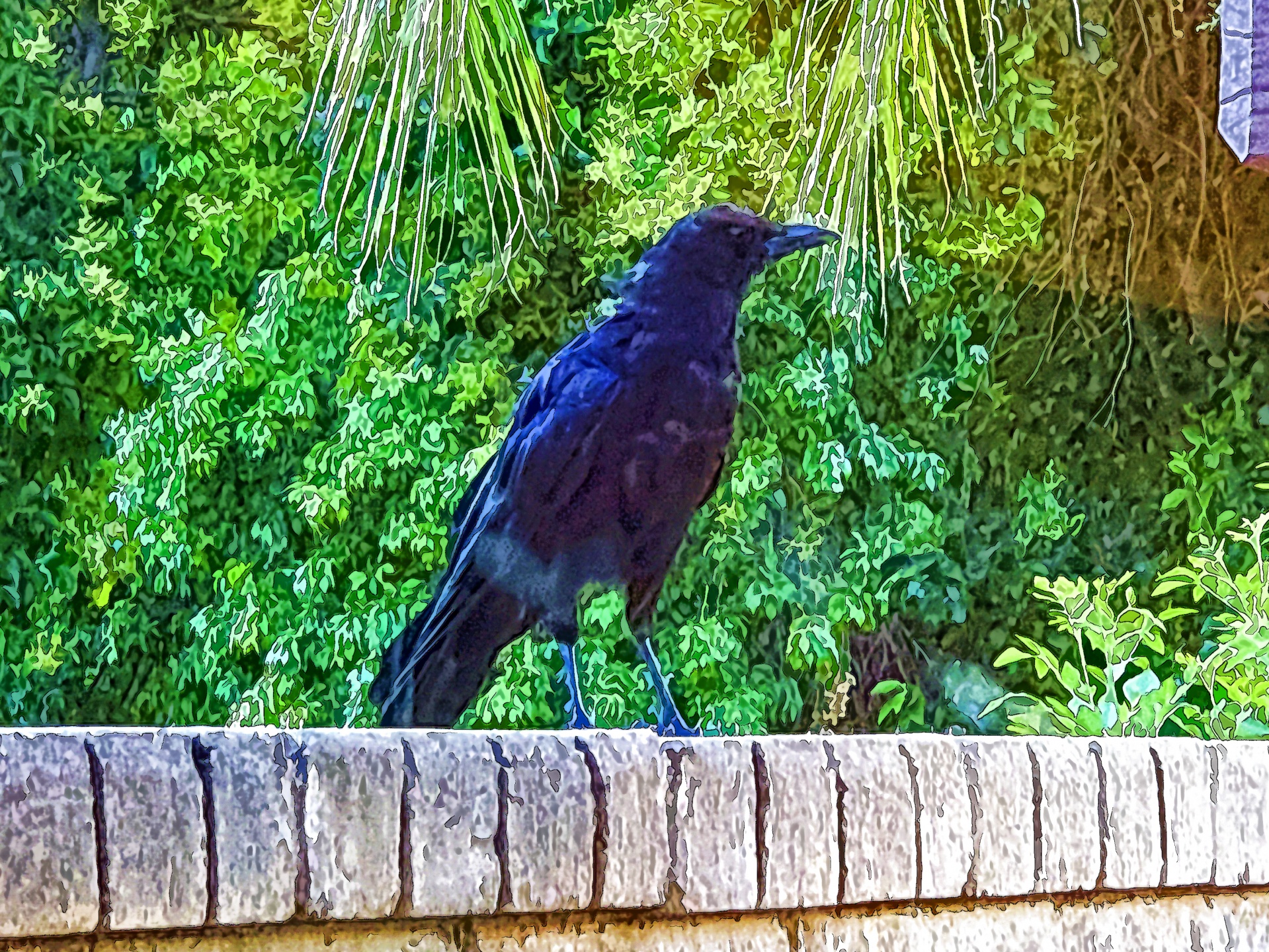 Cuervo negro Encaramado Artístico