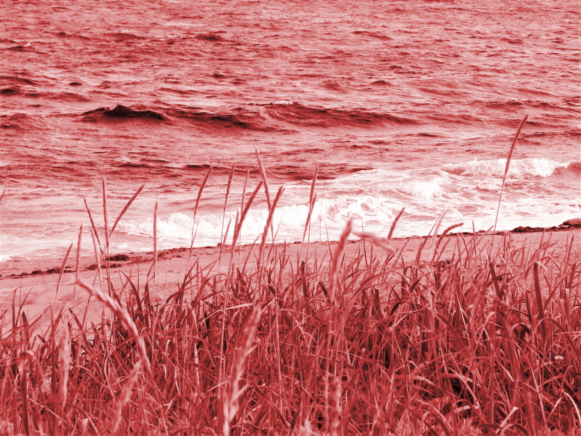 Playa en rojo