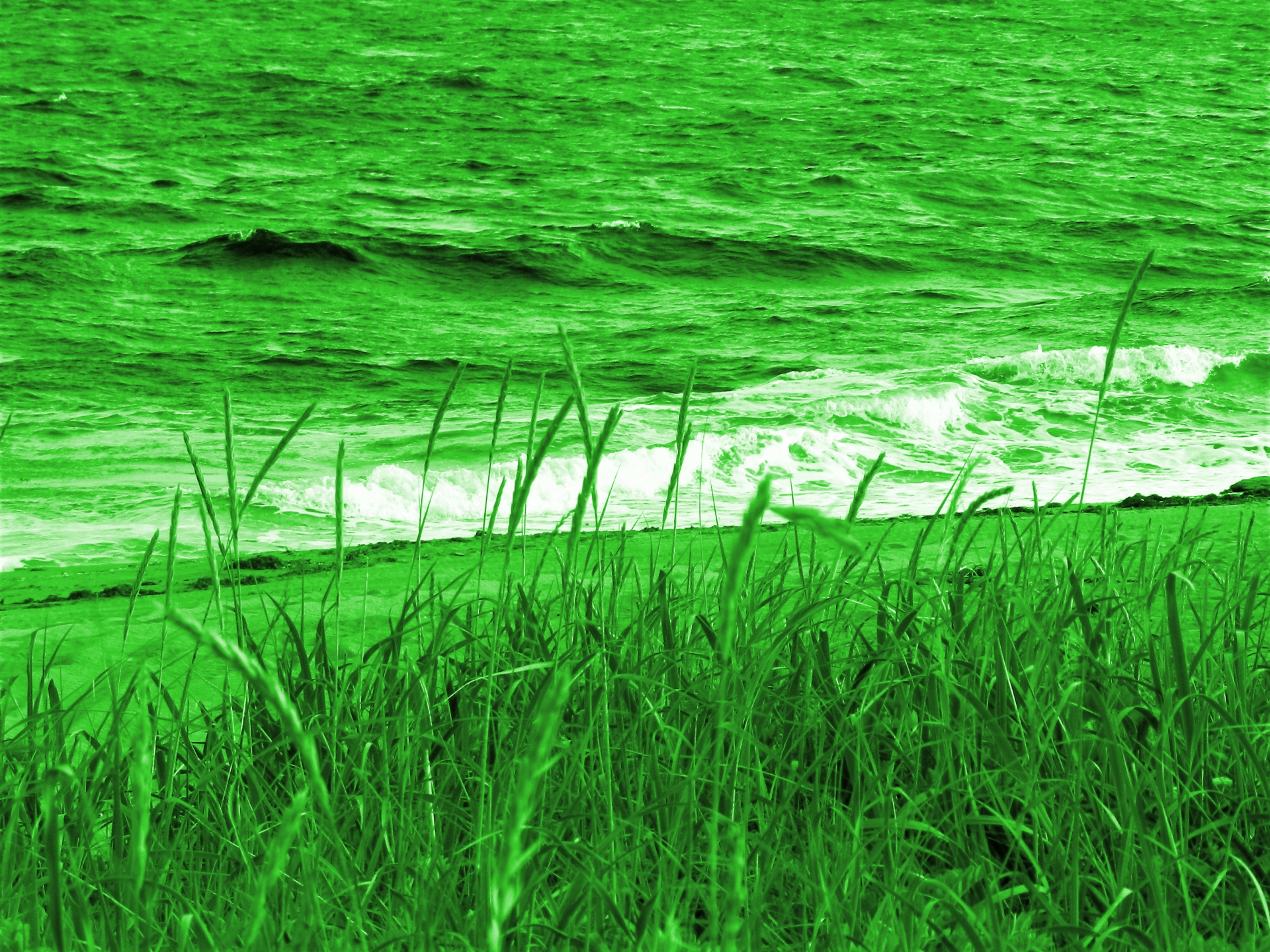 Moře v neonově zelené