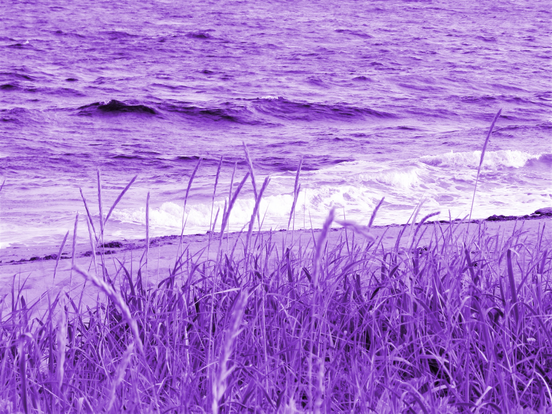 Moře ve fialové barvě