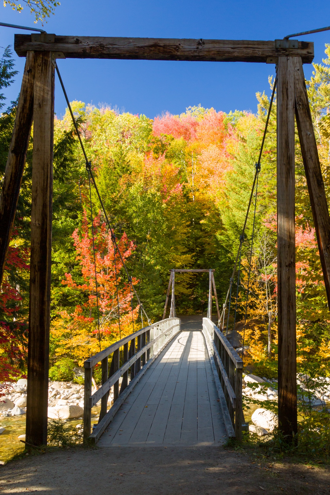 Most v lese na podzim