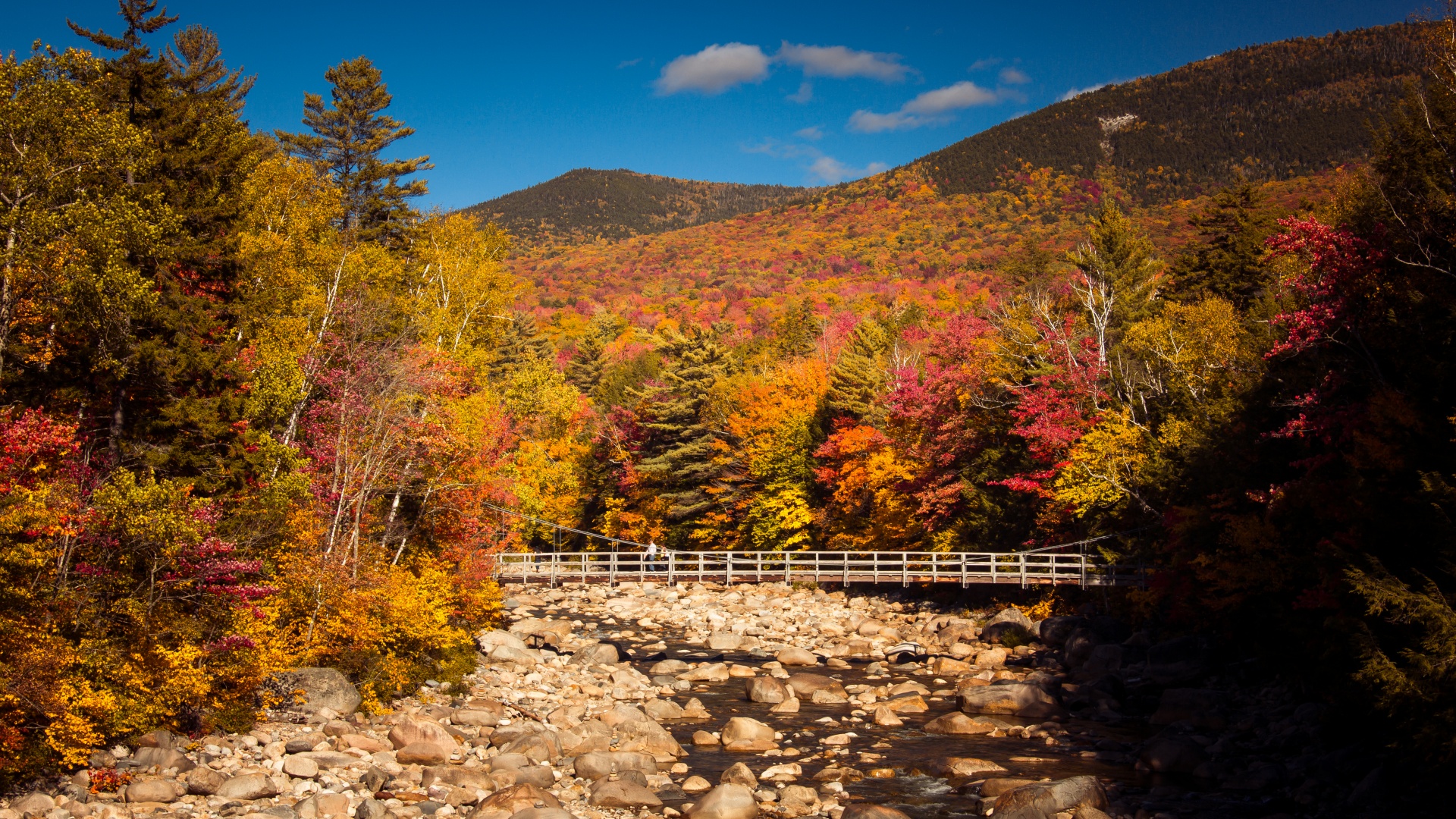 Puente en bosque en otoño