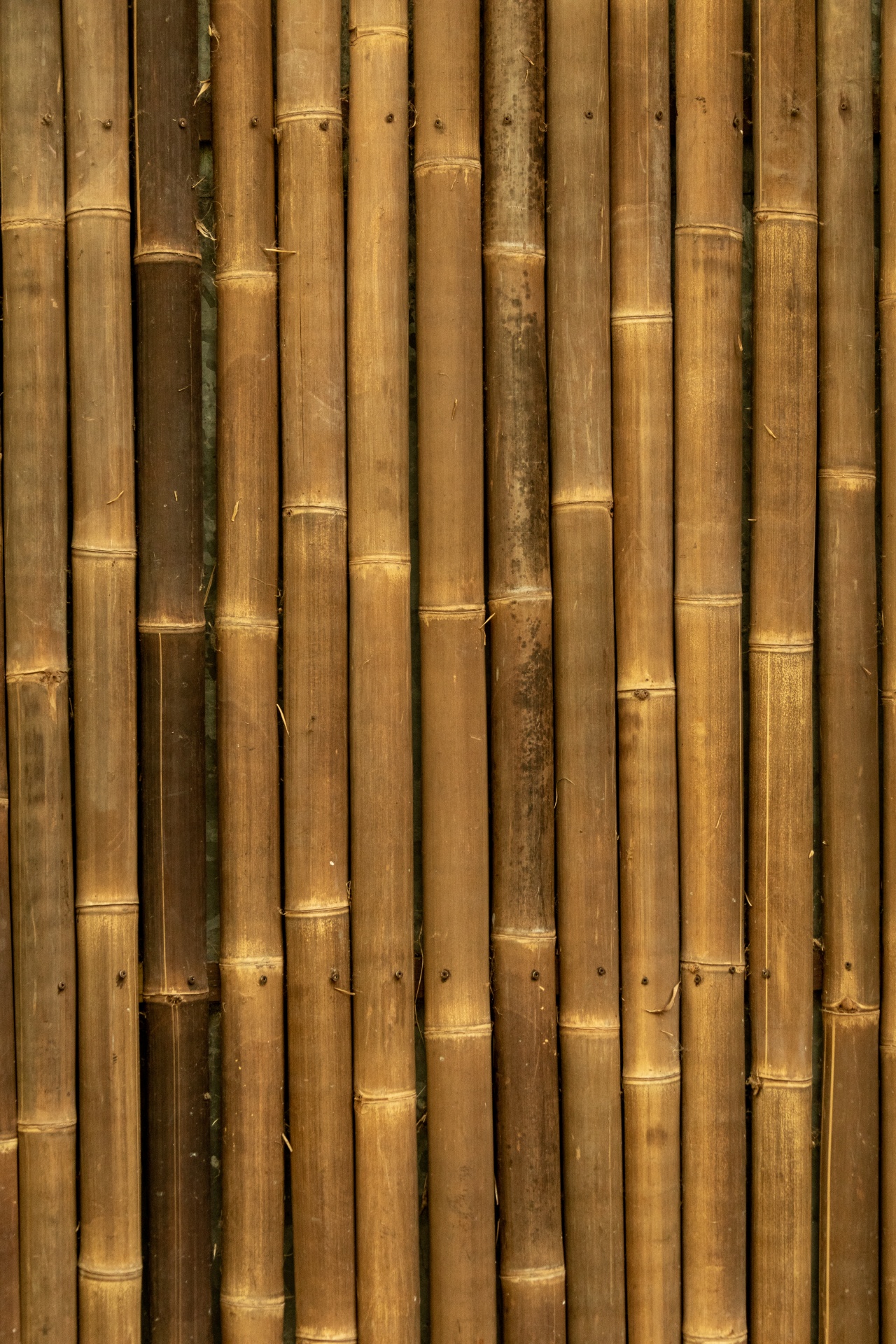 Fundo de bambu marrom