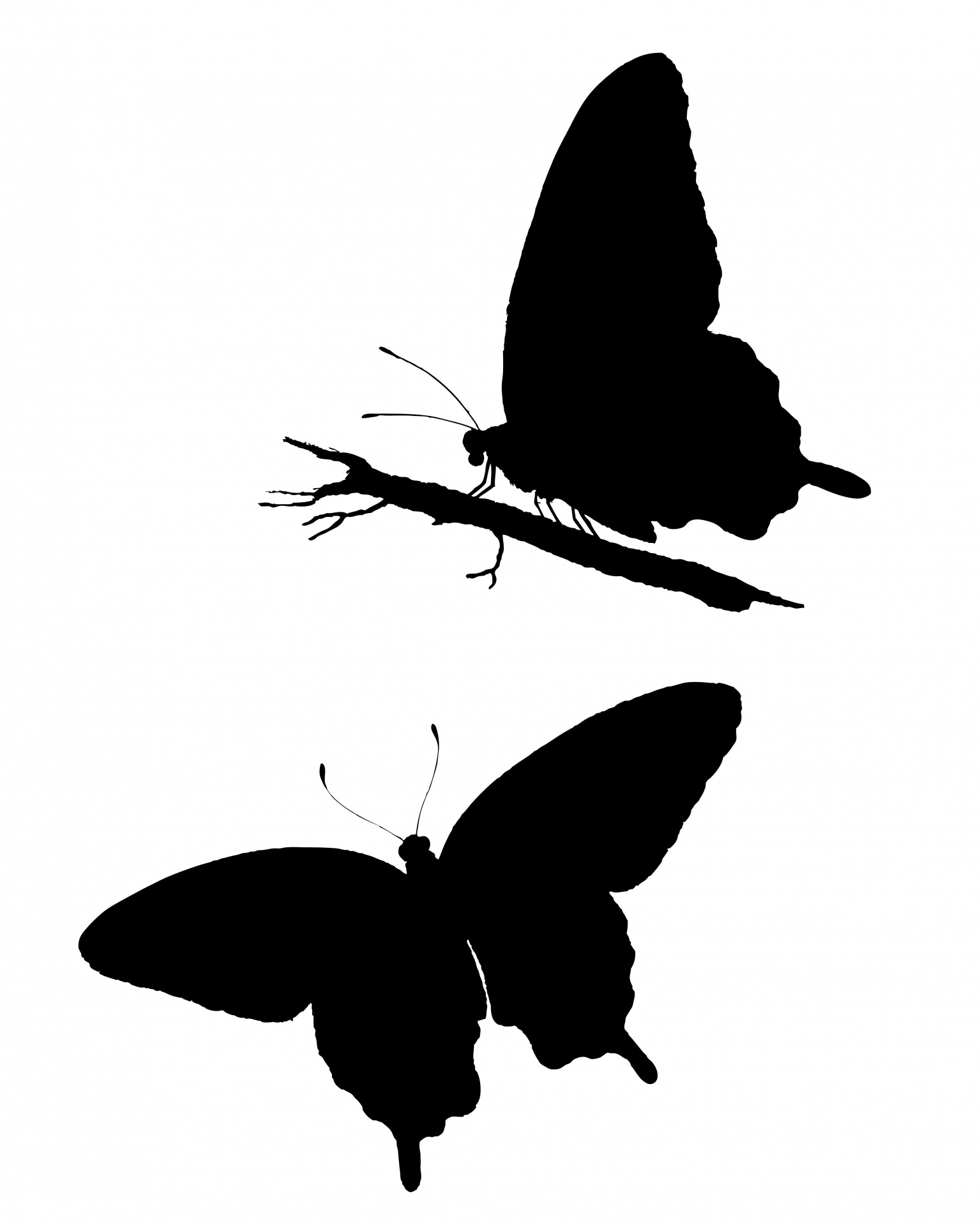 Clipart de silhueta de borboleta