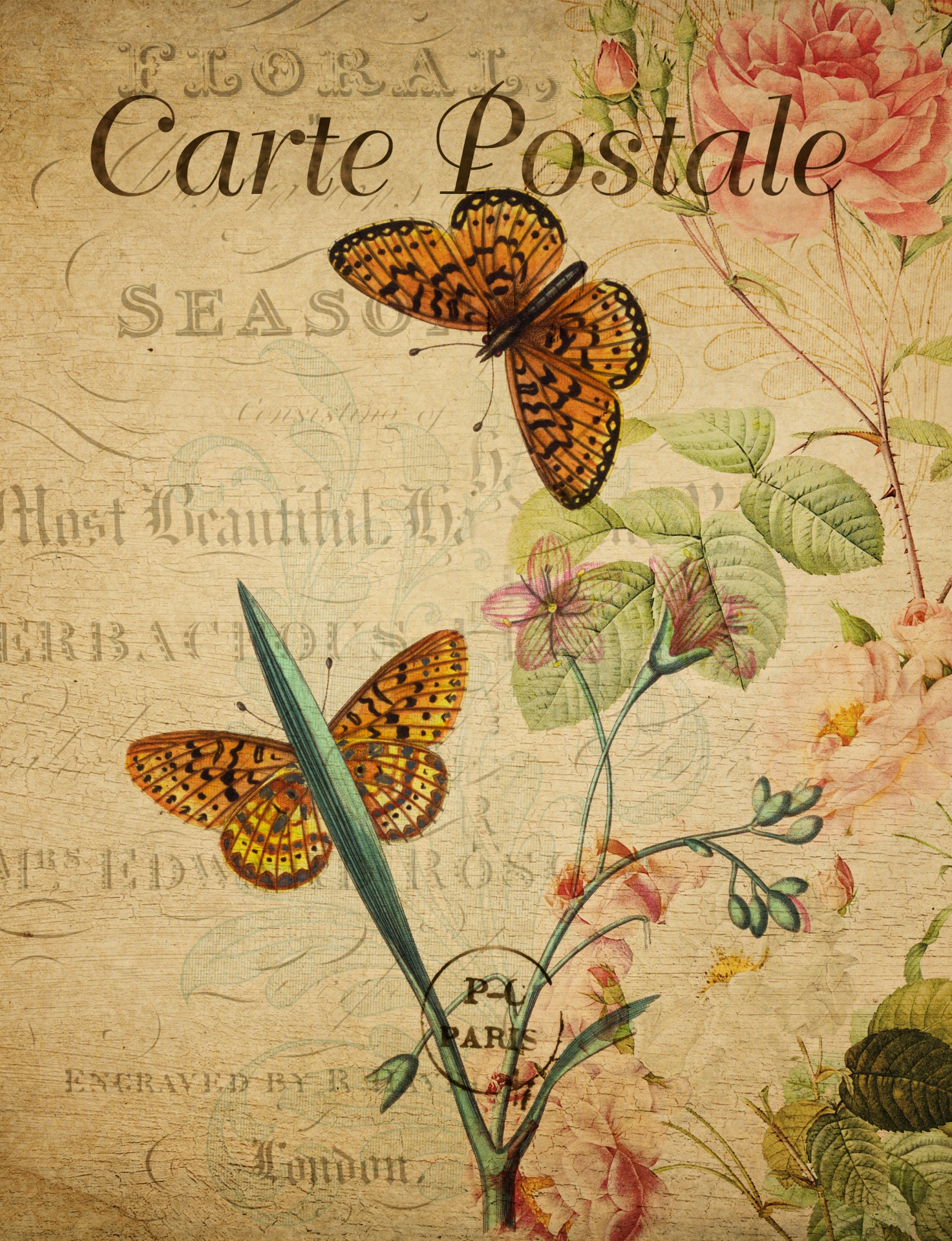 Motýl Vintage květinové pohlednice
