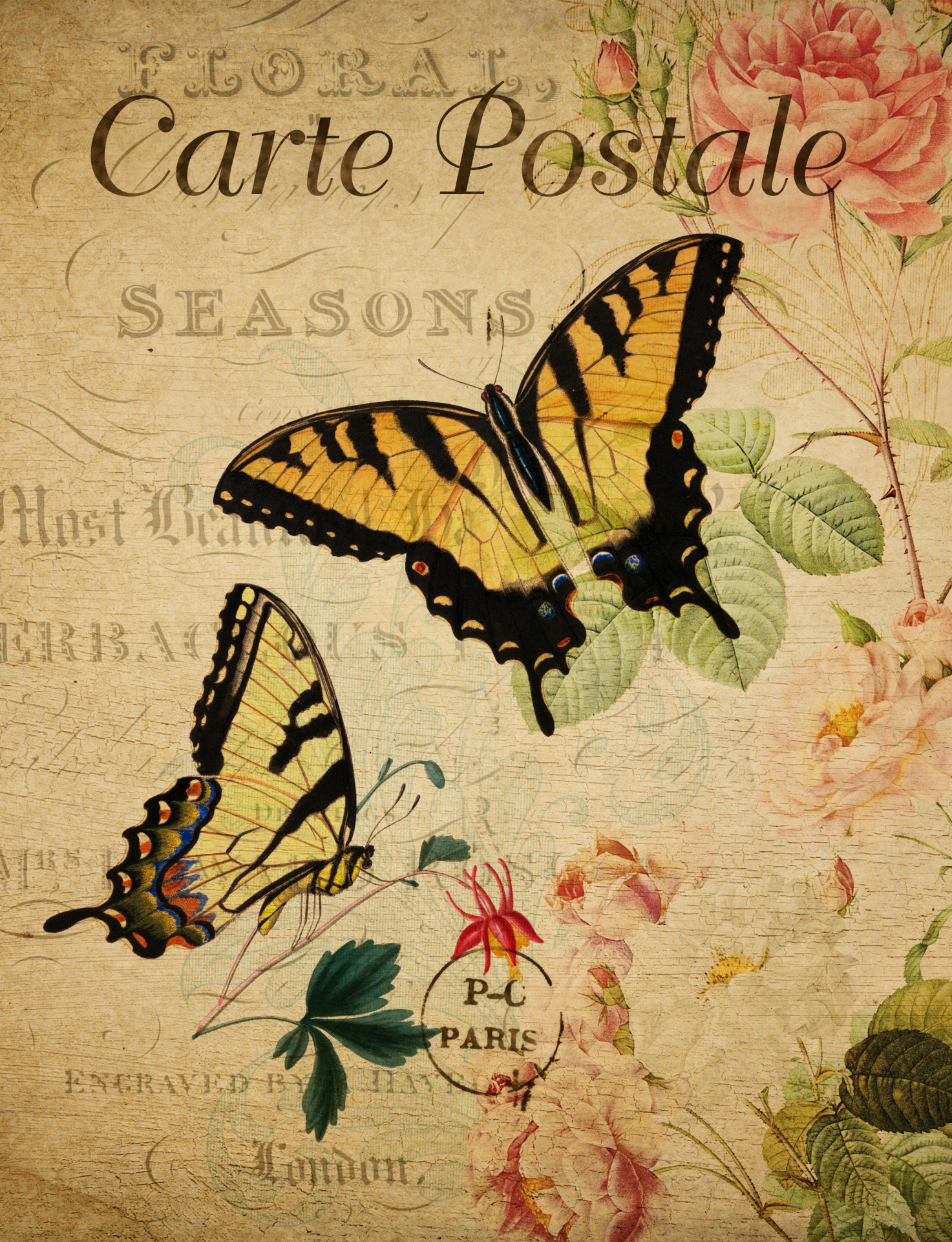 Cartão floral do vintage da borboleta