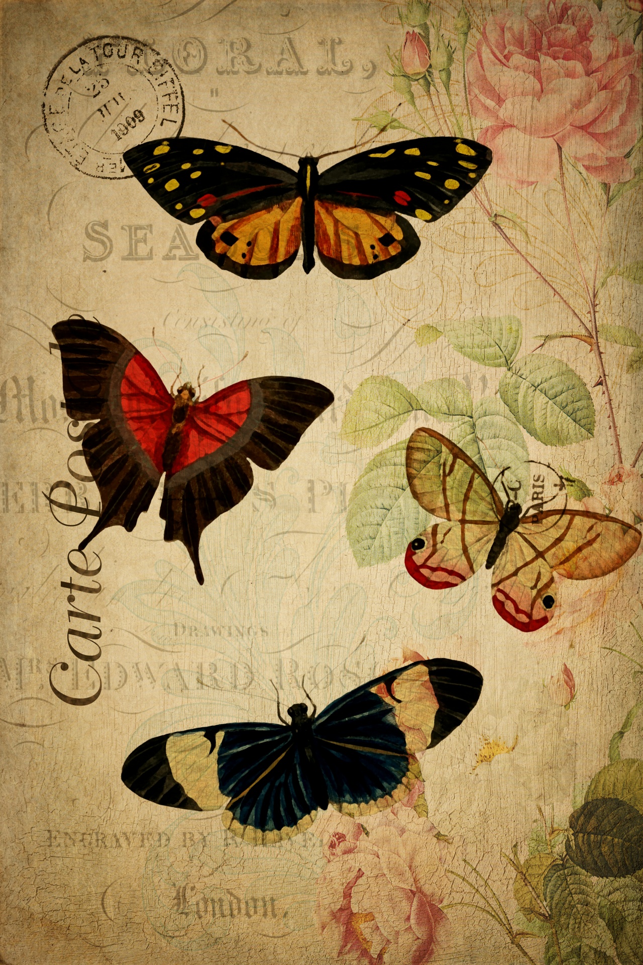 Postal floral vintage de mariposa