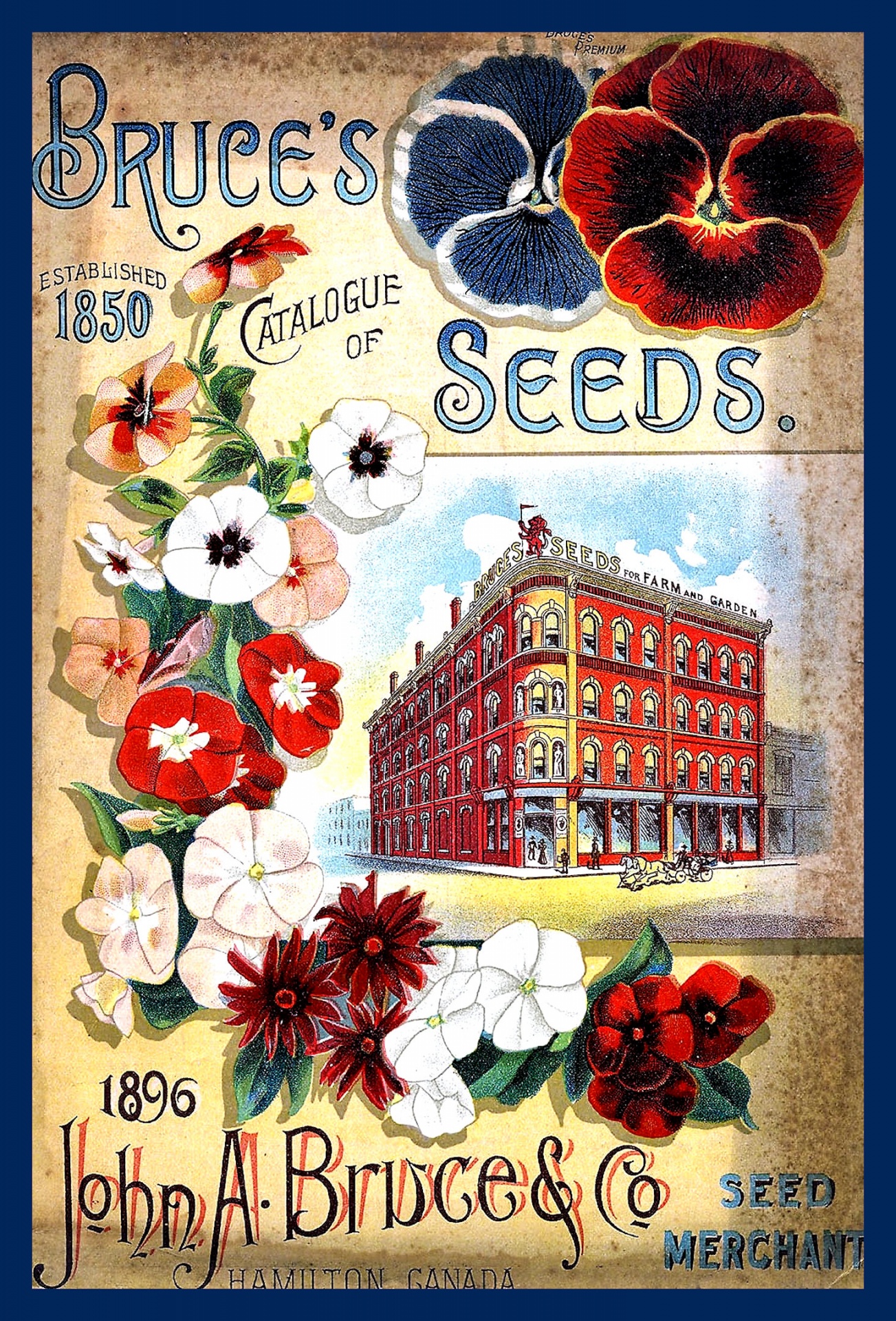 Catálogo de sementes vintage 12
