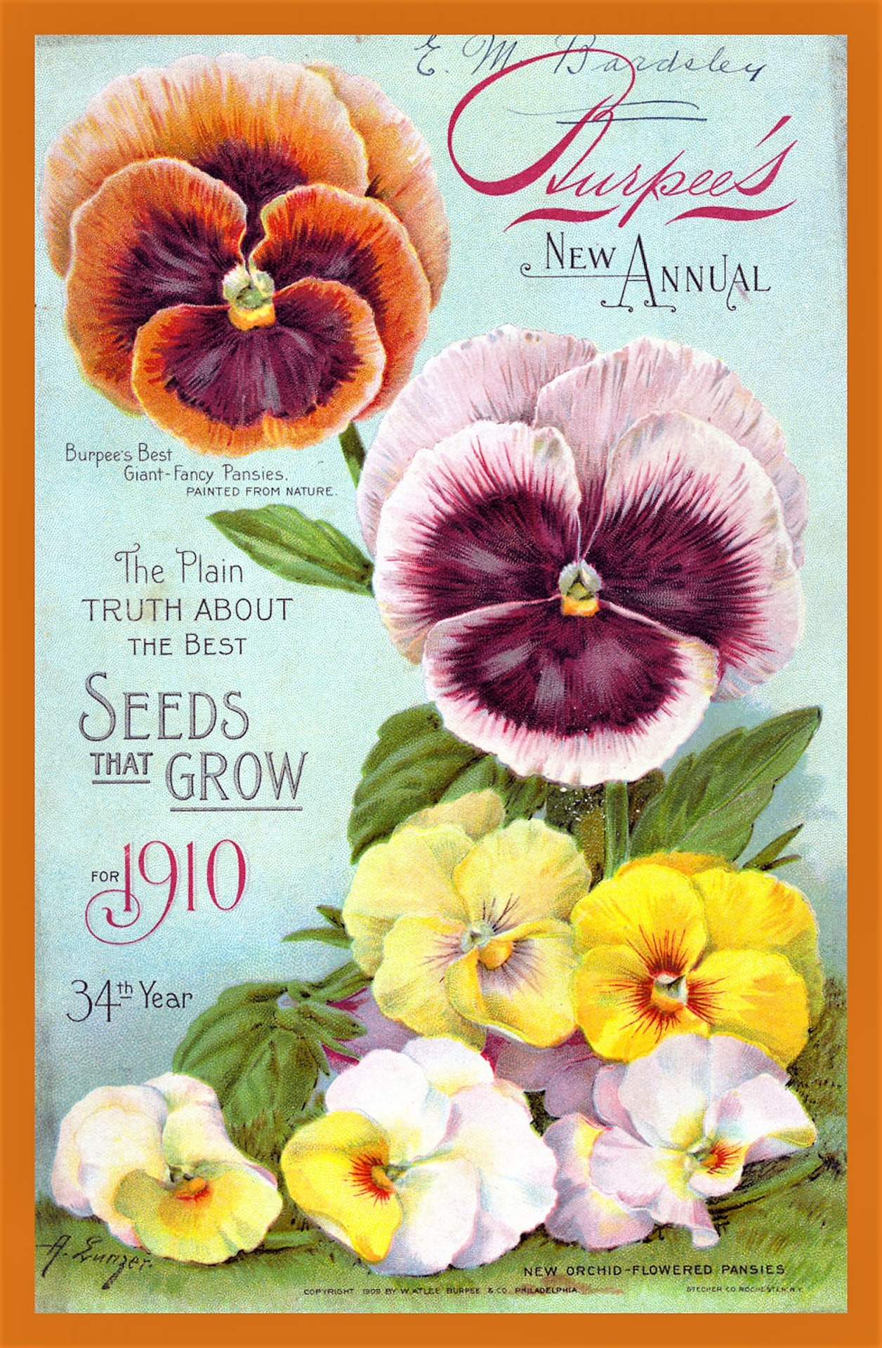 Catálogo de semillas vintage 7