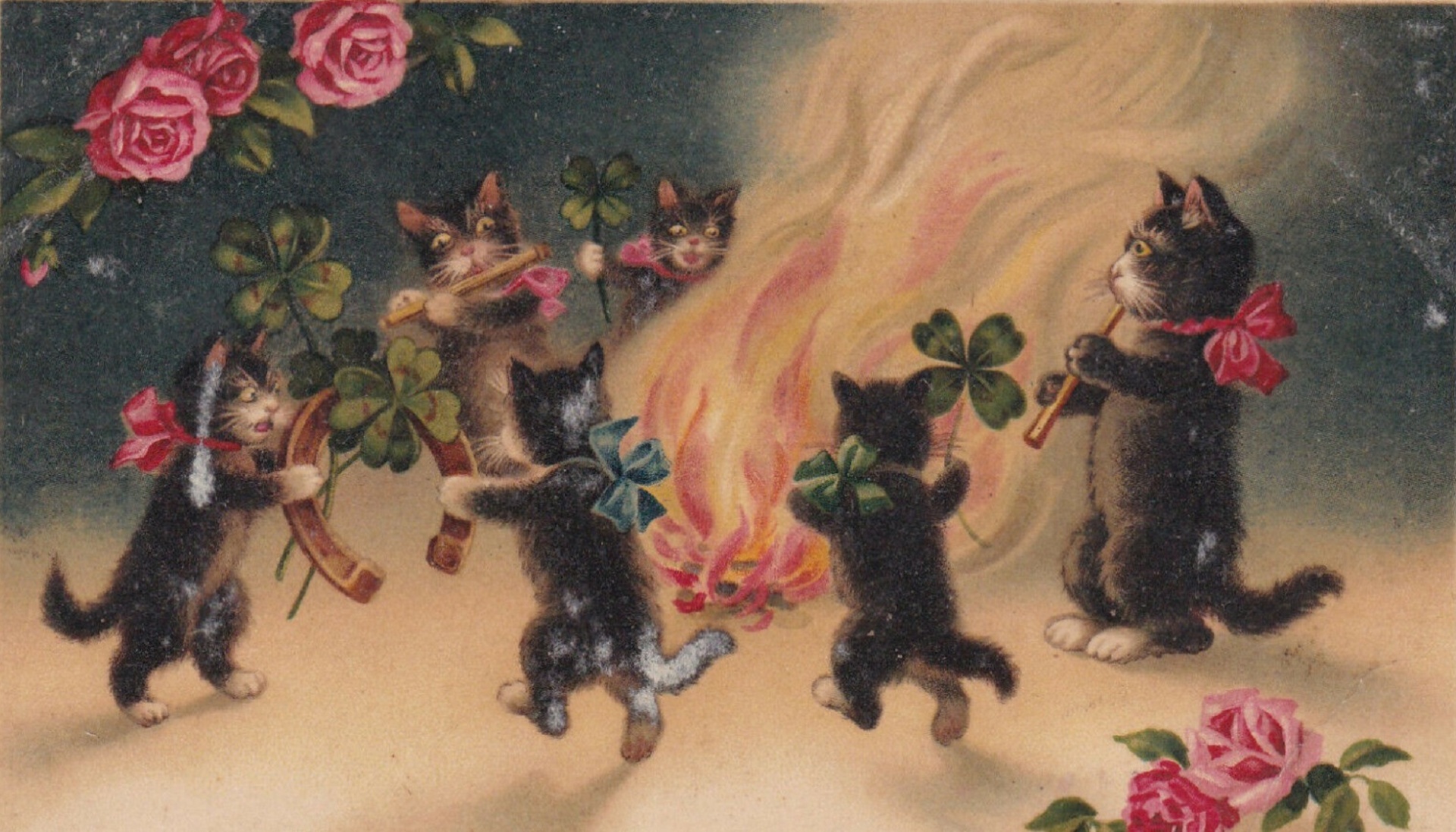 Festa de gatos na fogueira