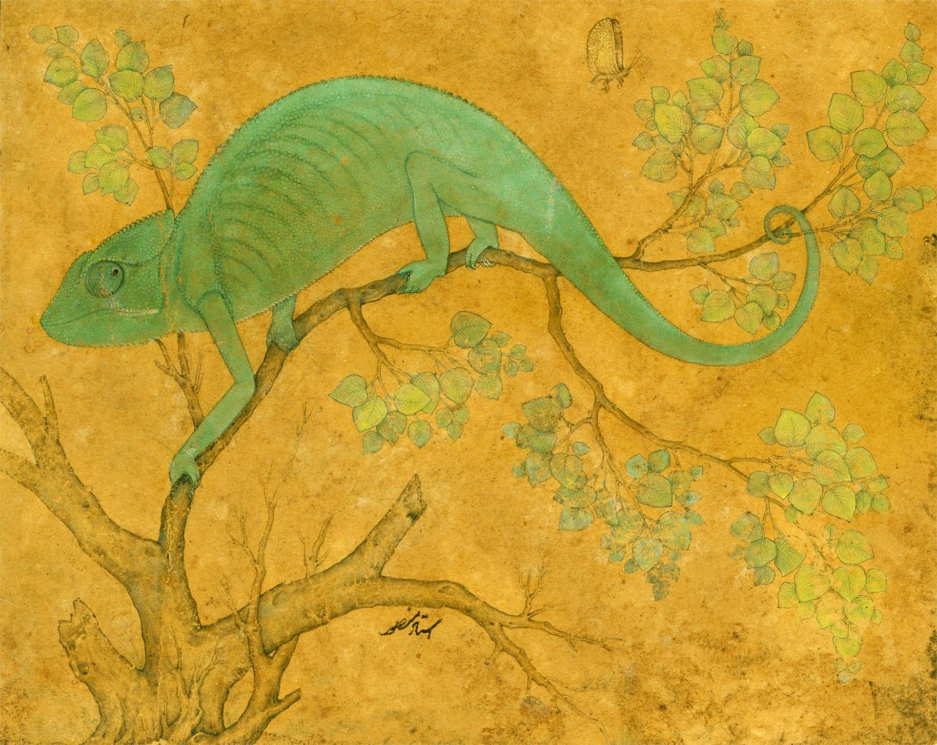 Pintura vintage de camaleão