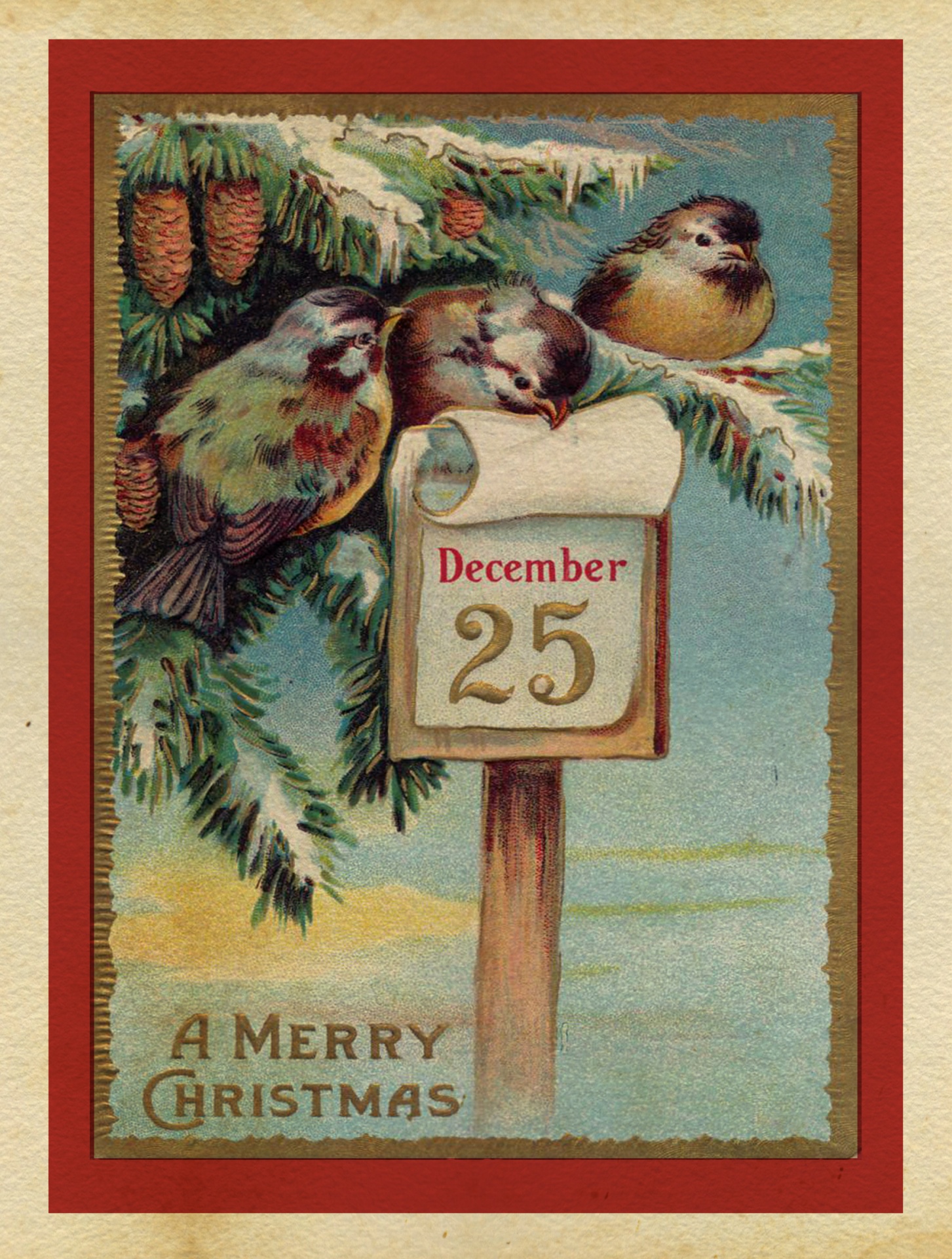 Vánoční přání vinobraní ptáci