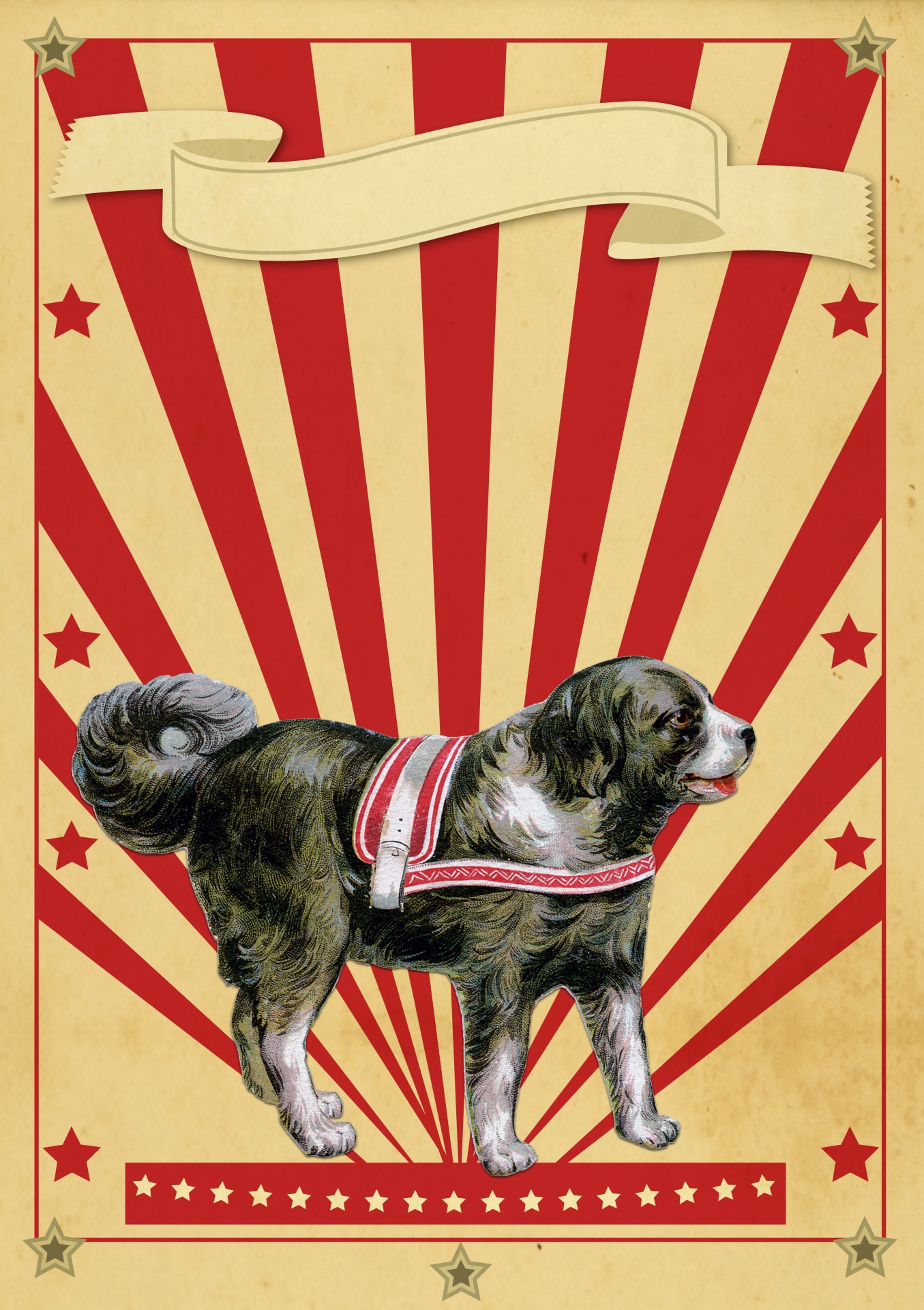 Cirkus Retro affischhund