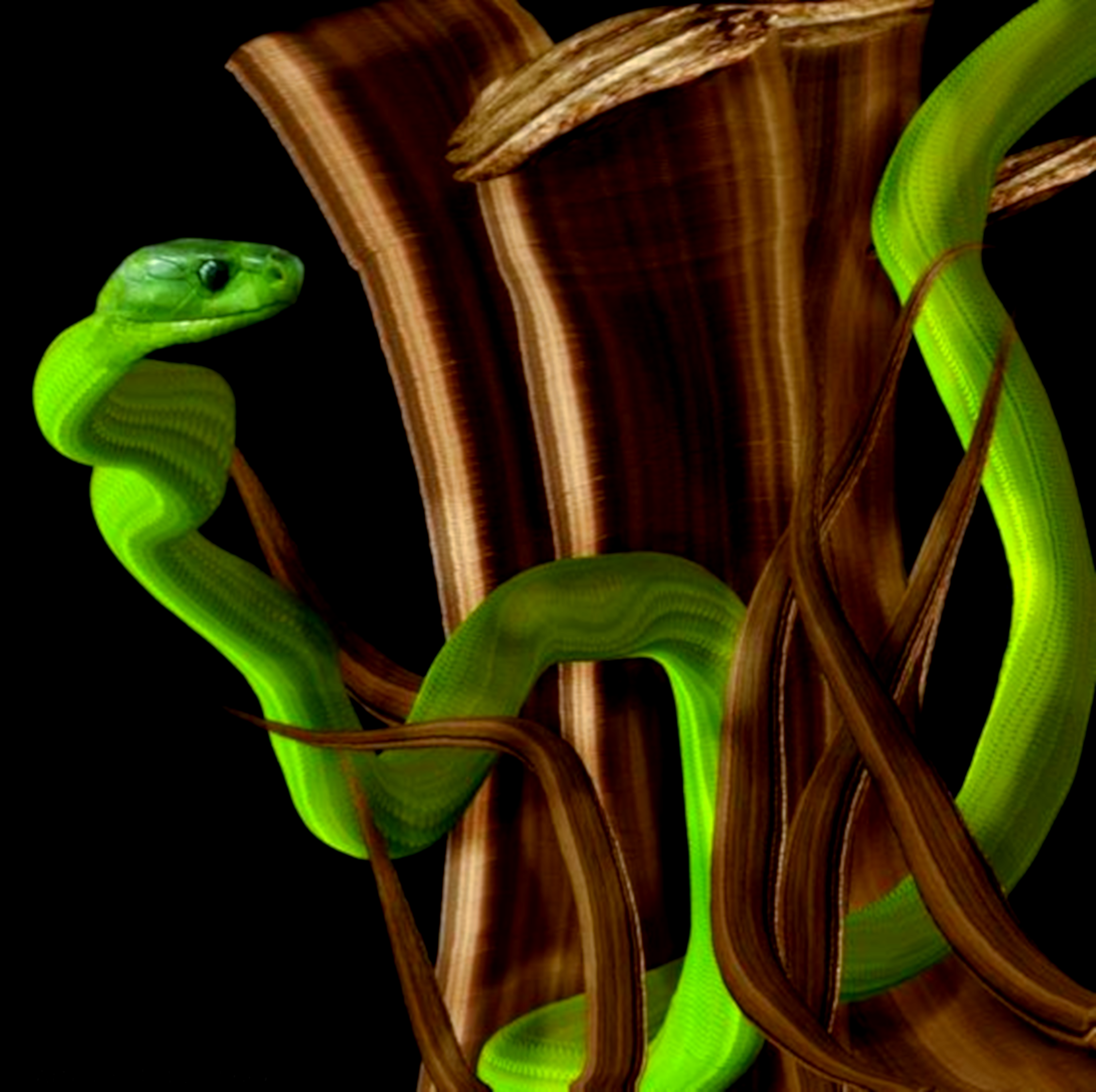 Cobra verde enrolada