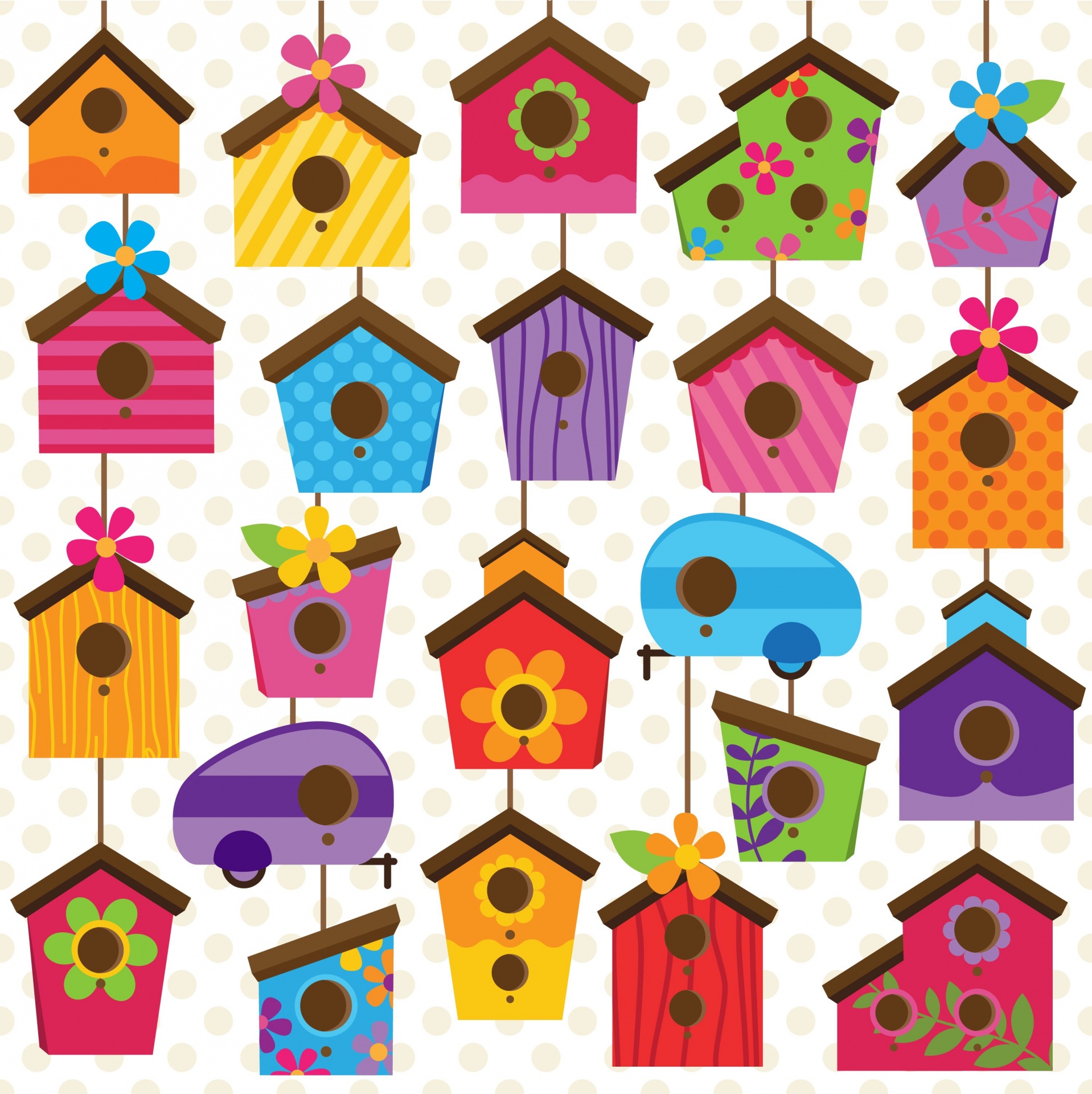 Case per uccelli colorate