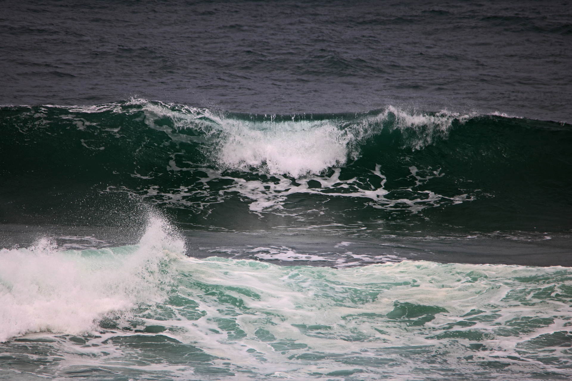 Hřeben zelené vlny na oceánu