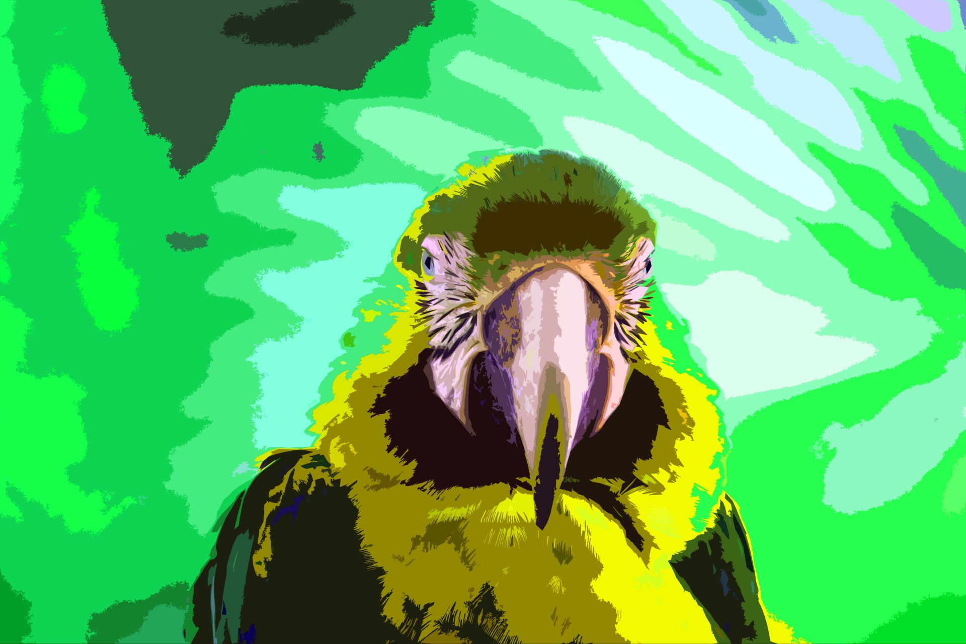 Vystřižený obrázek papouška