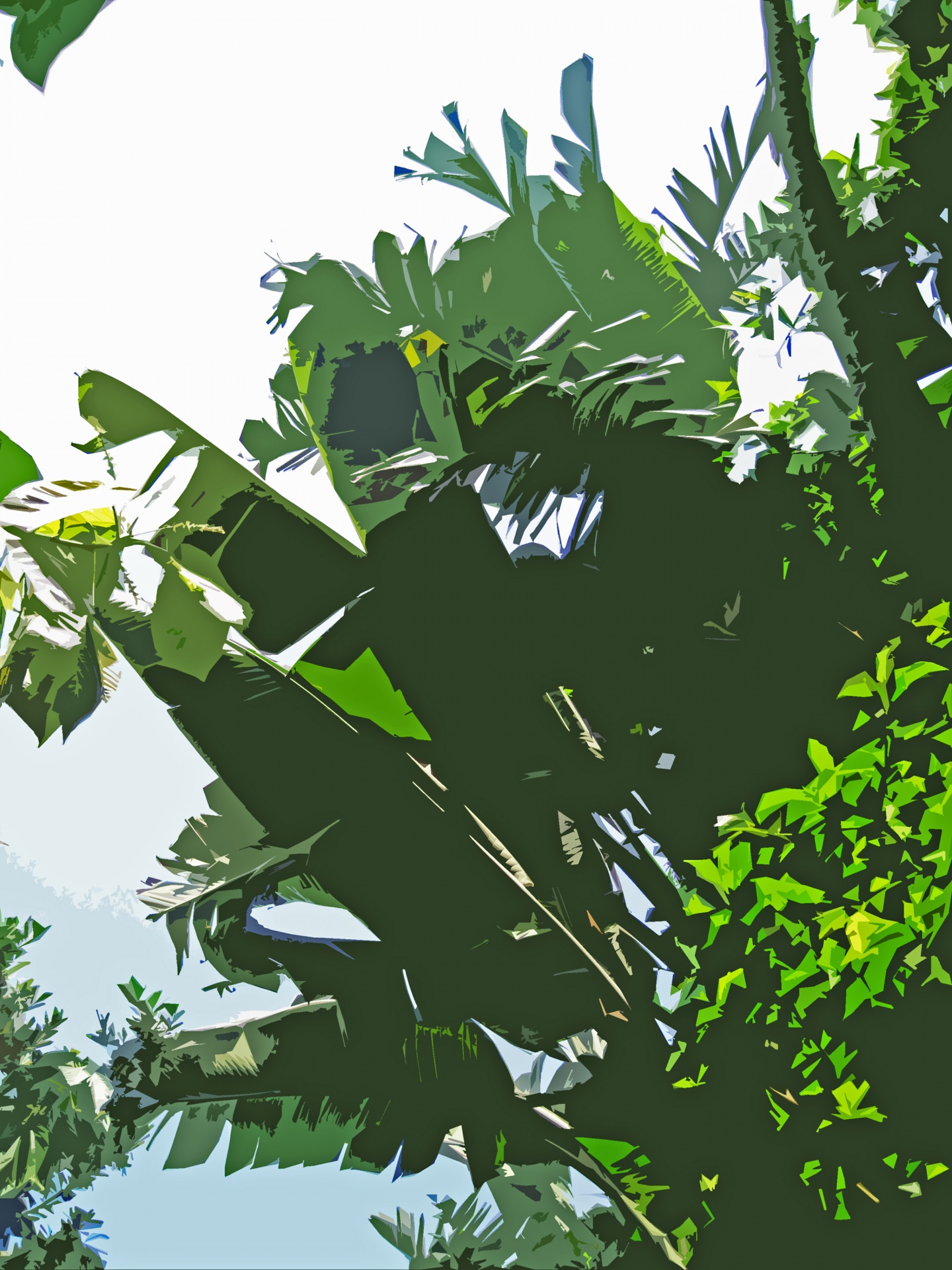 Vystřižený obrázek tropické vegetace