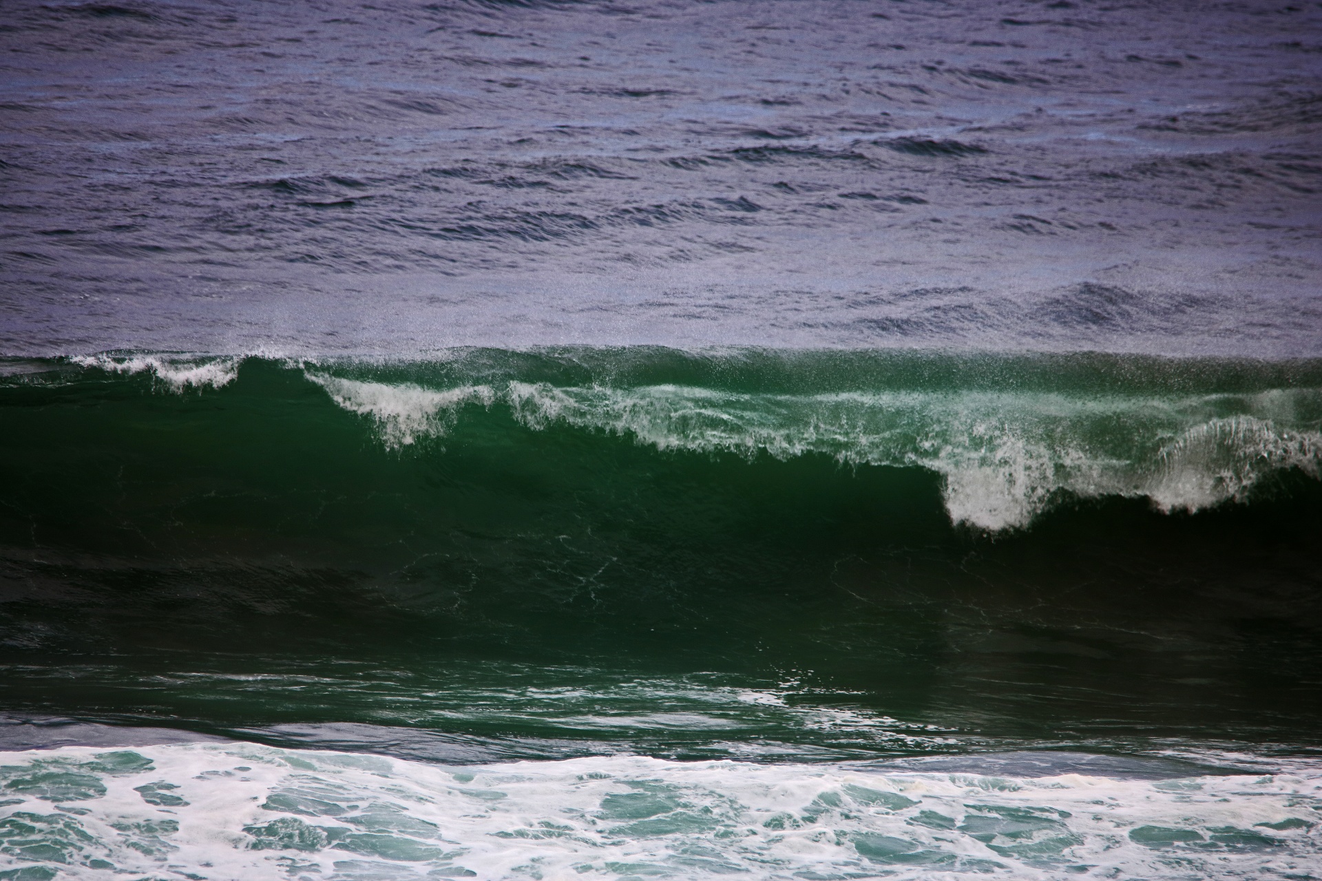 Djupgrön färg på cresting wave