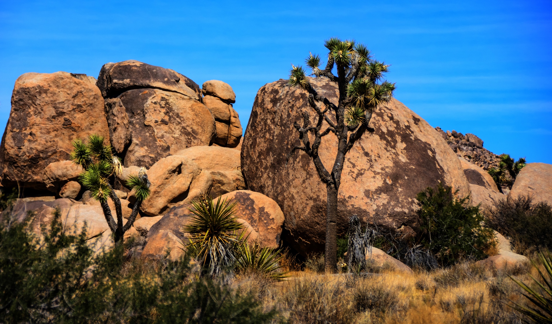 Rocas del desierto