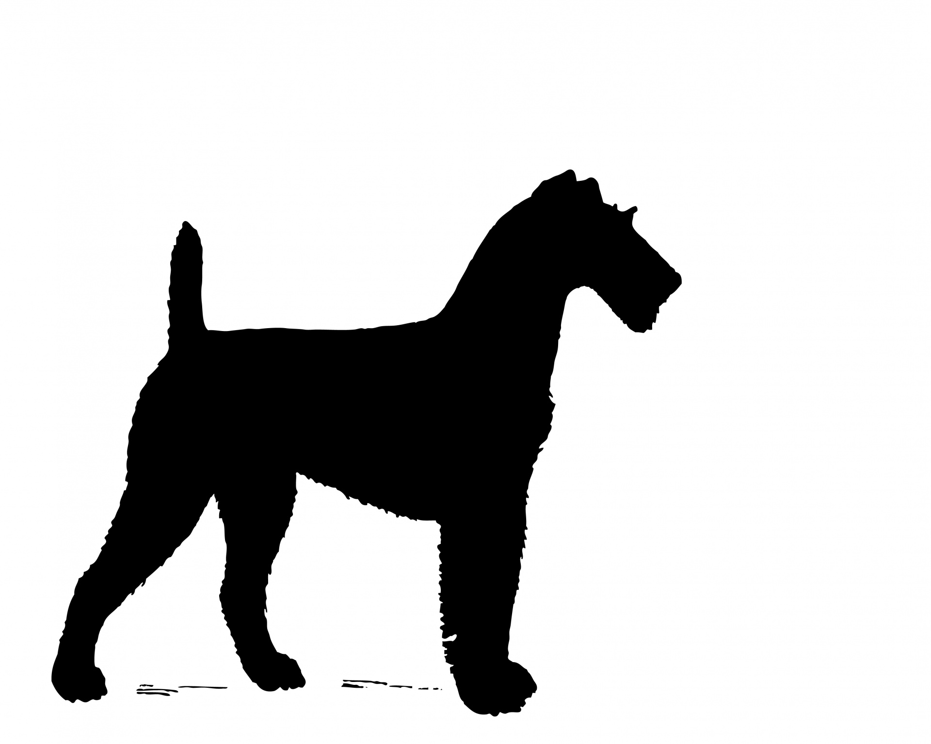 Perro Silueta Irish Terrier