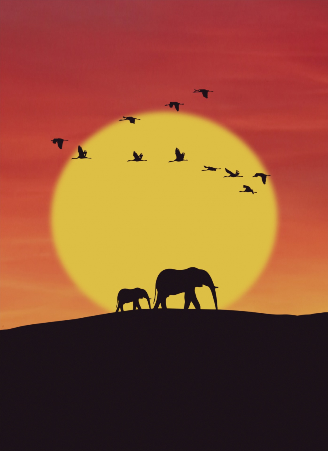 Sloni při západu slunce