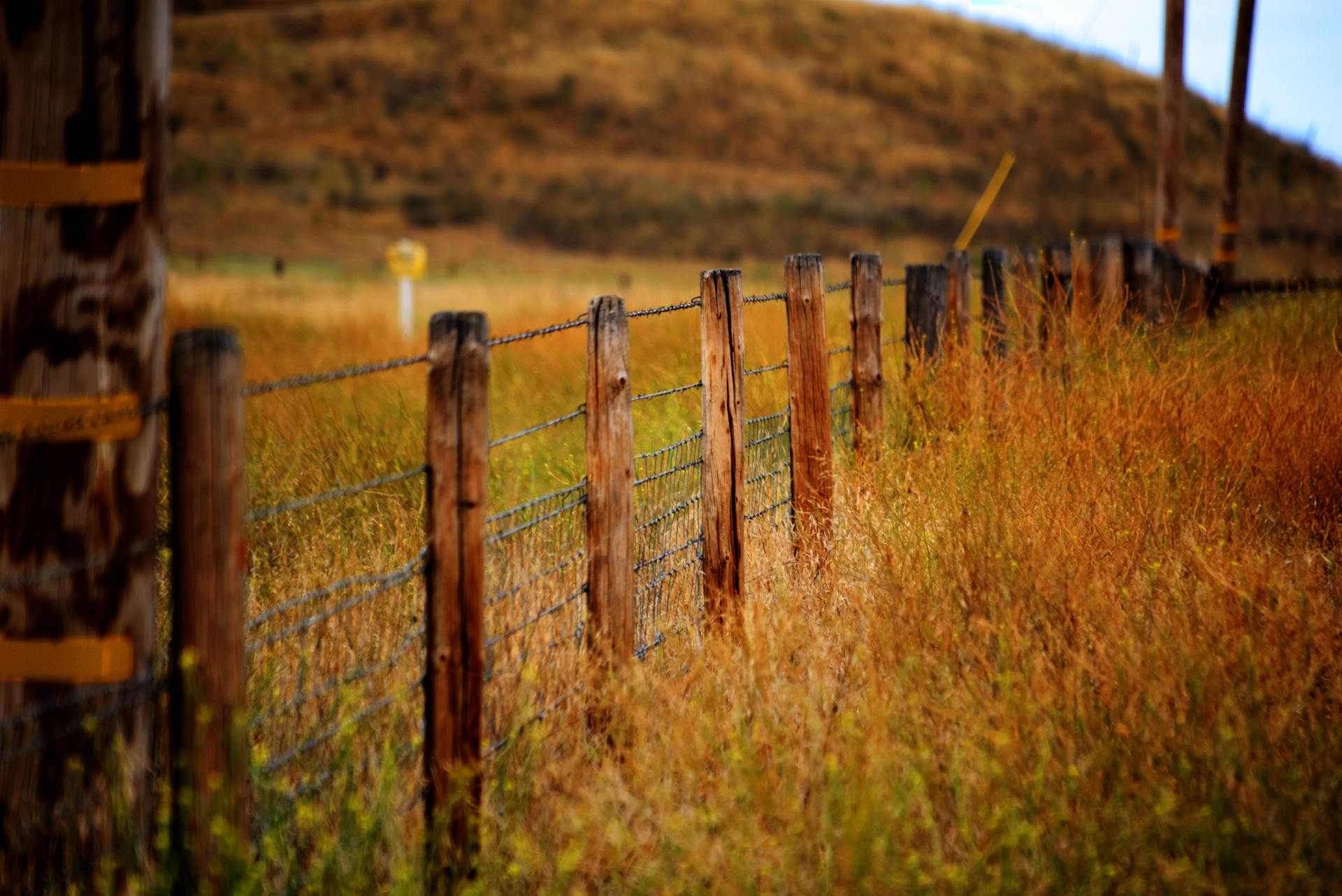 Kerítés egy mezőn