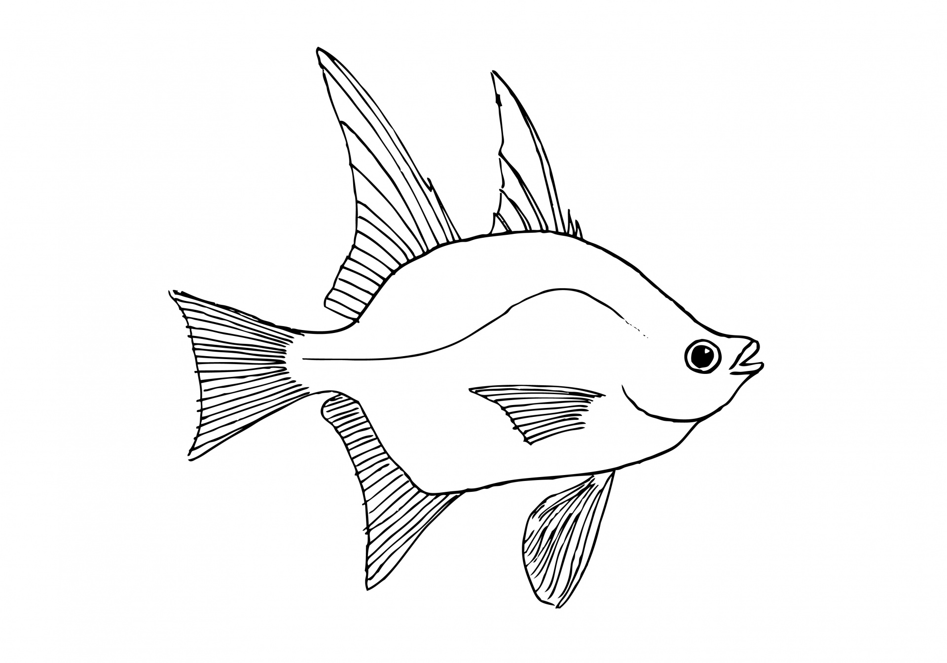 Dibujo lineal de pescado