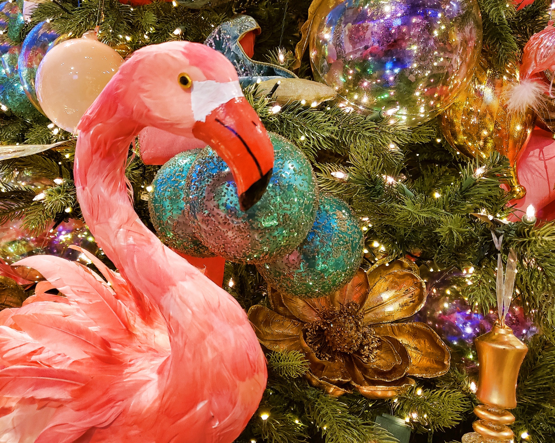 flamingo-christmas.jpg