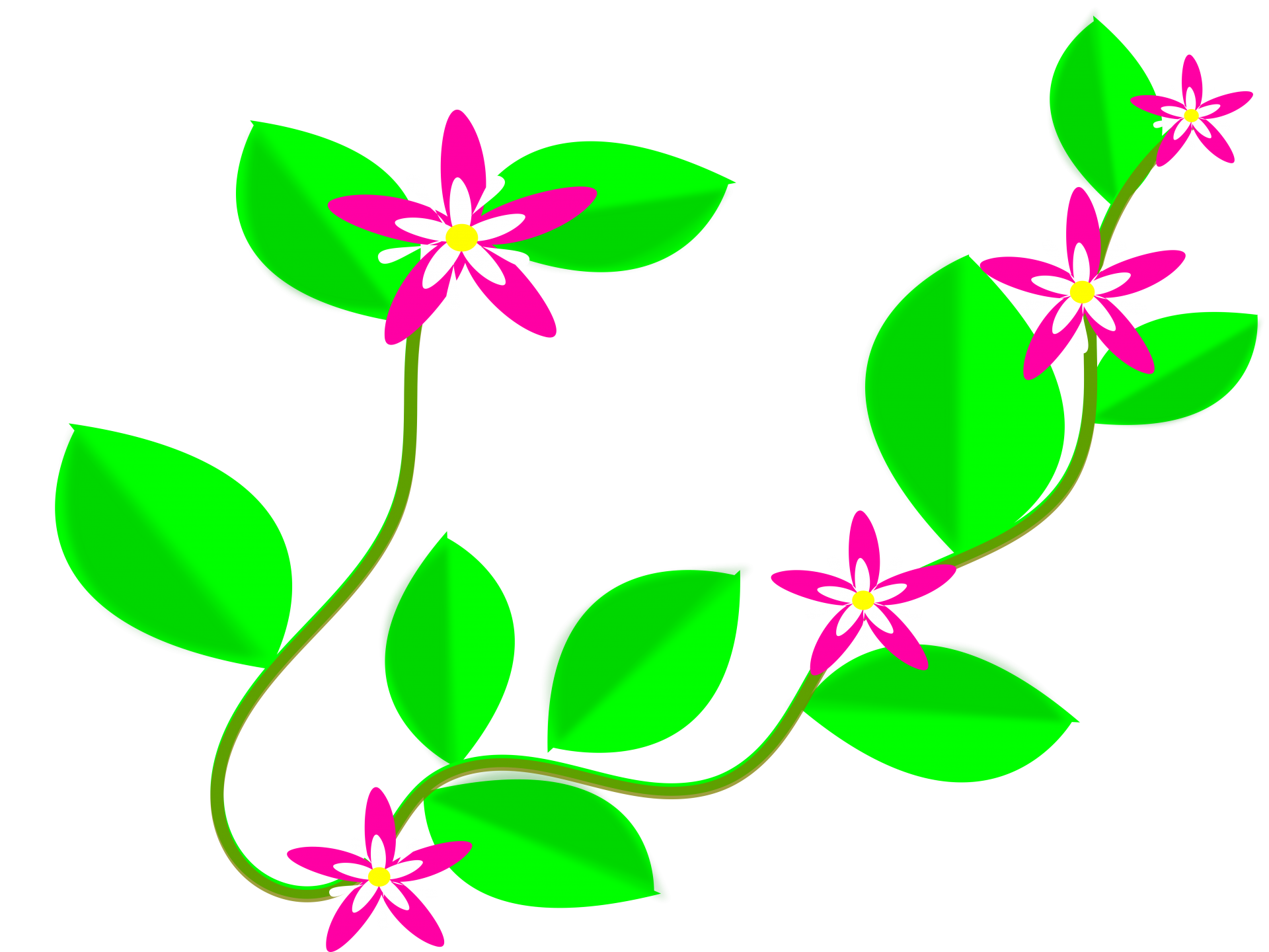 Kúszónövény virág