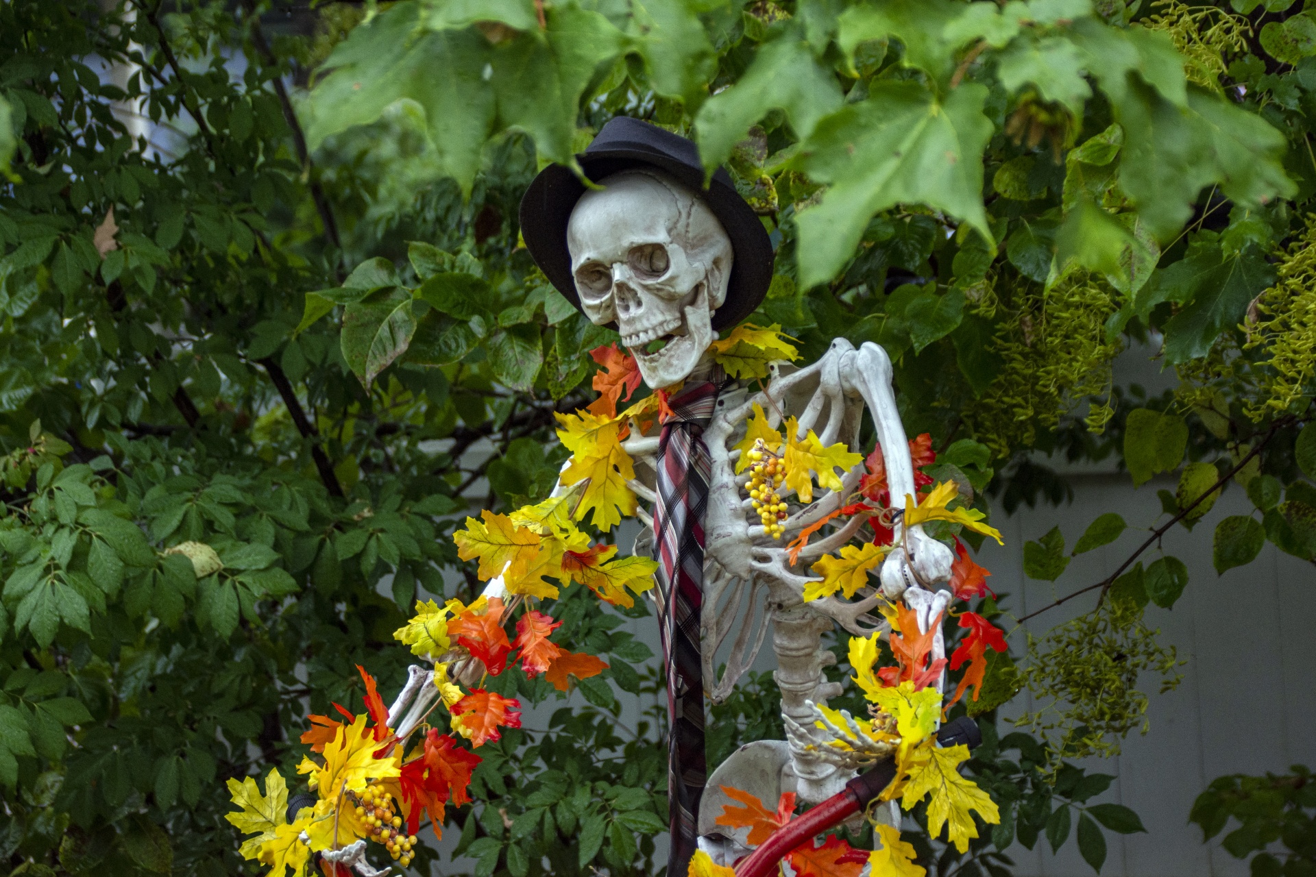 Esqueleto florido