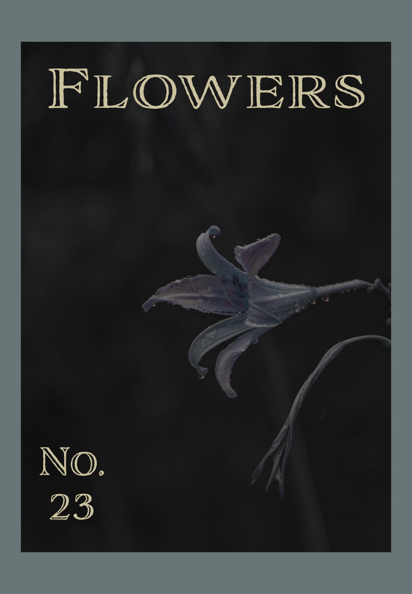 Květiny č. 28