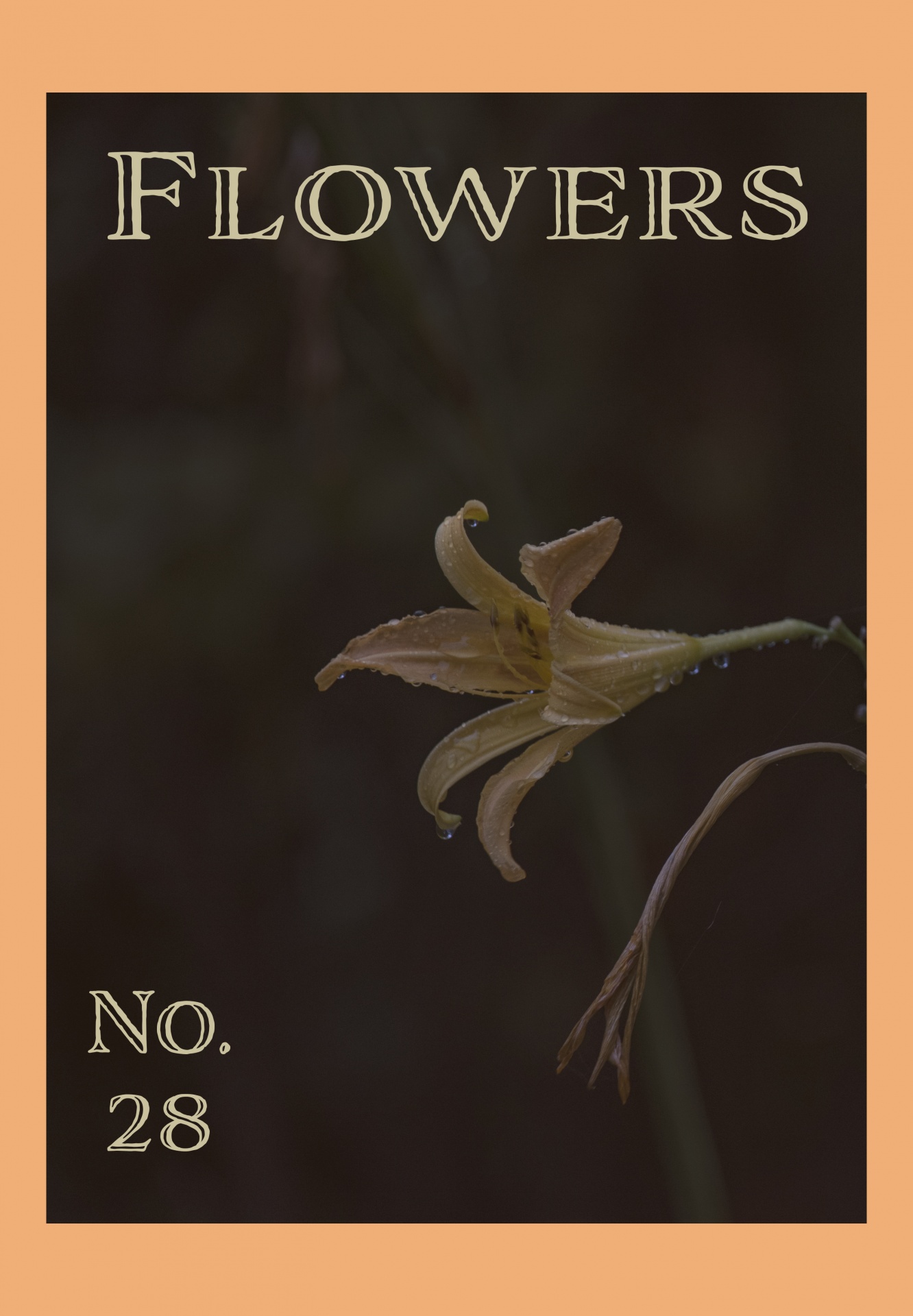 Flores No. 28
