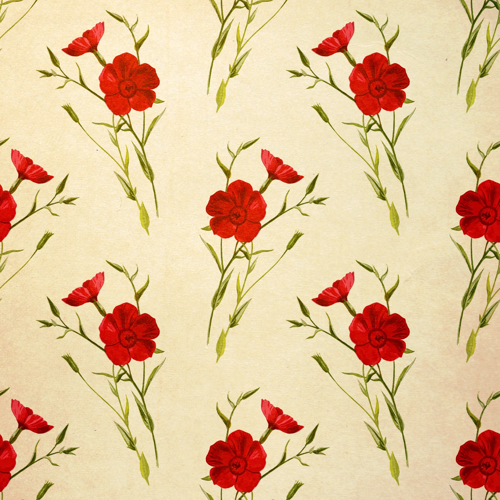 Flores Rojo Floral Wallpaper