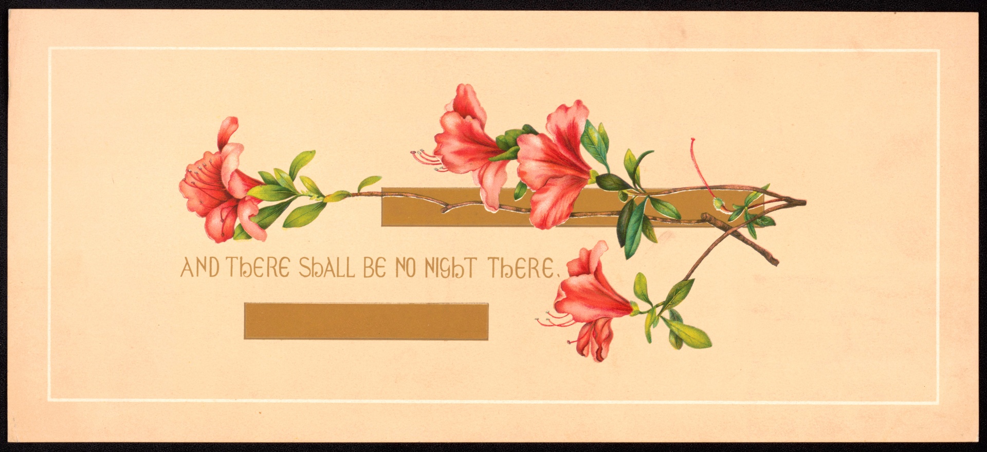 Květiny Vintage sentimentální motto