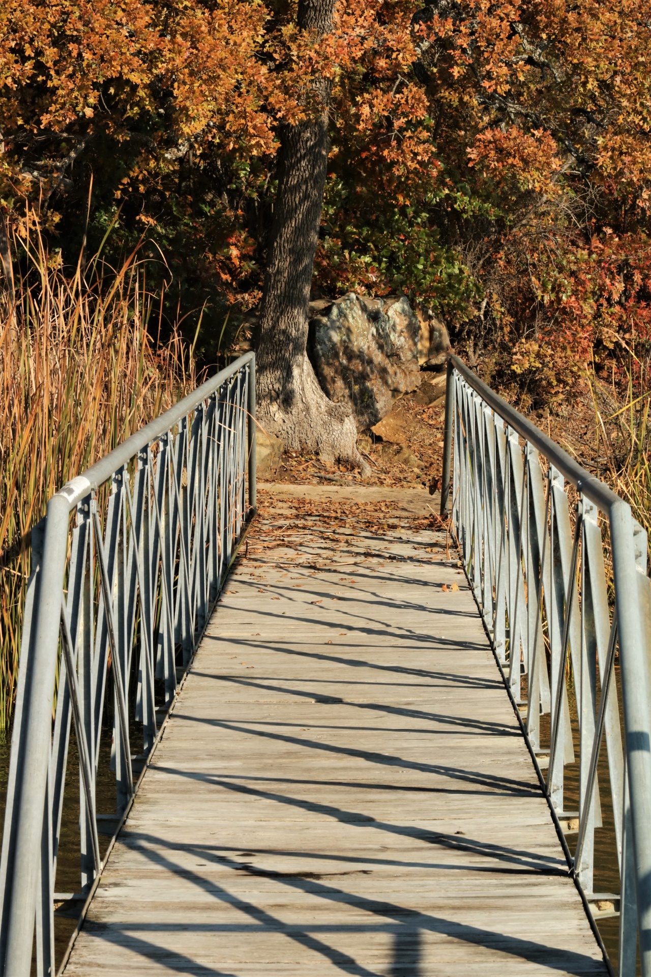 Ponte de pé e árvores de outono