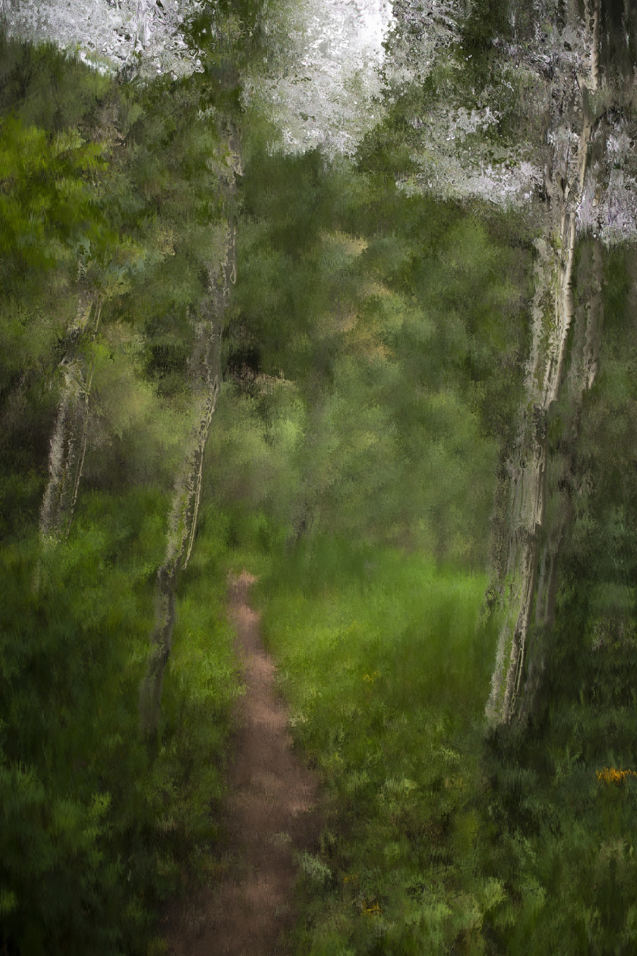 Caminho da floresta