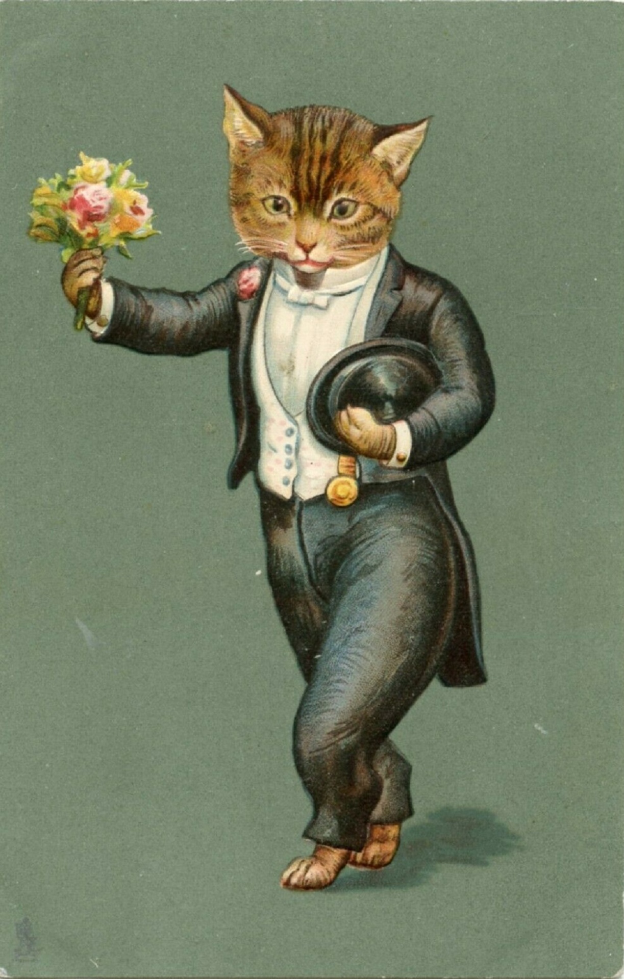 Gato Cavalheiro