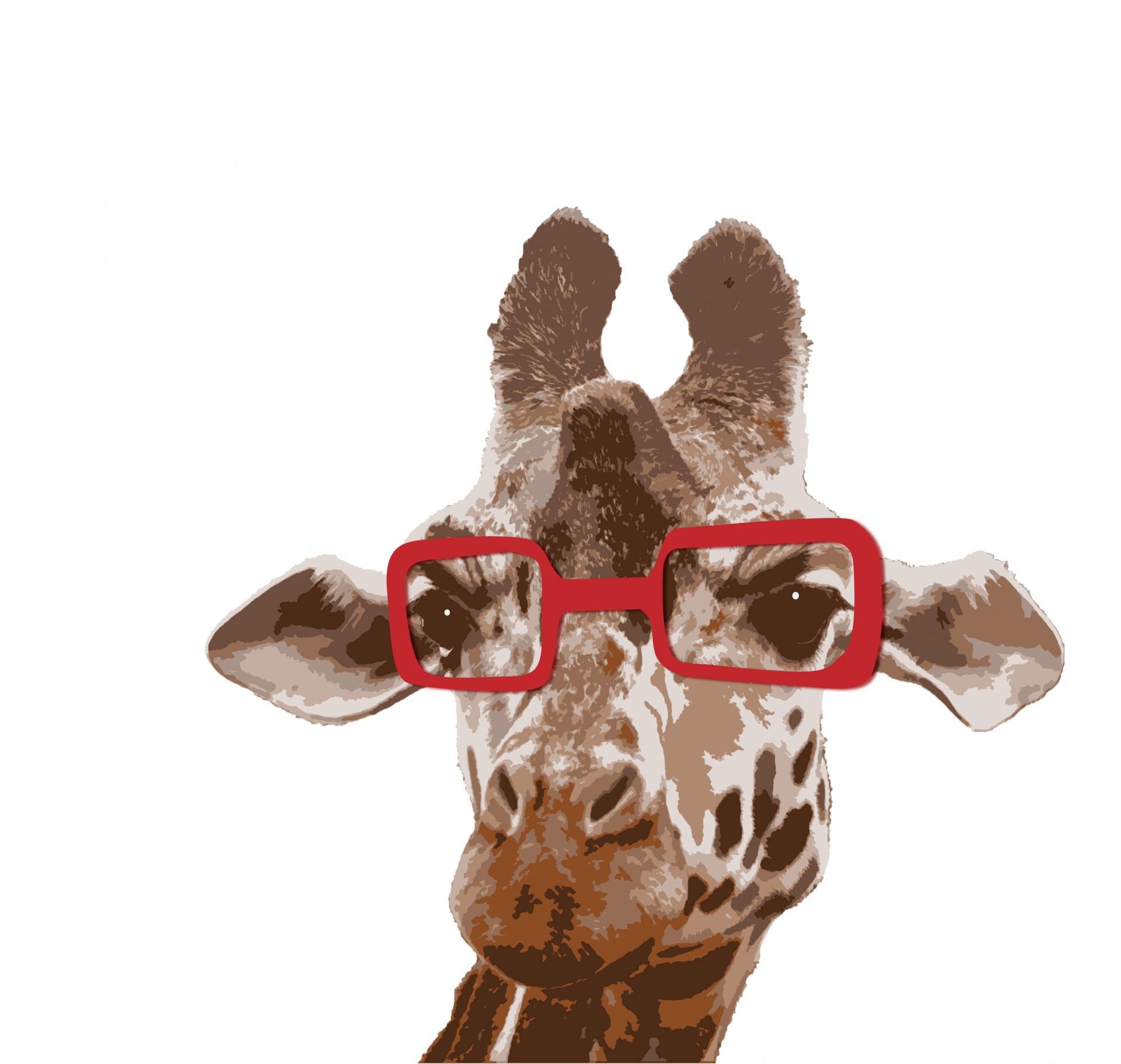 Žirafy nosí brýle