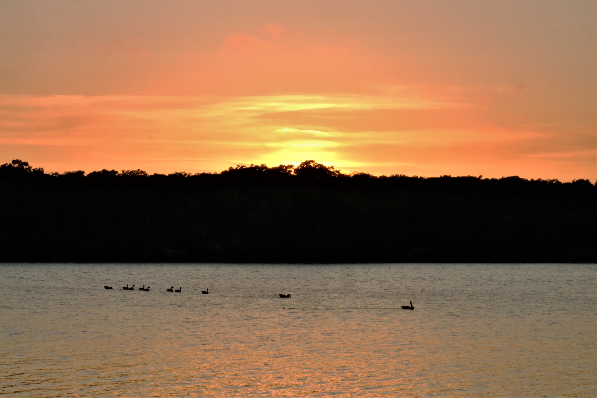 Golden Sunset Over Lake
