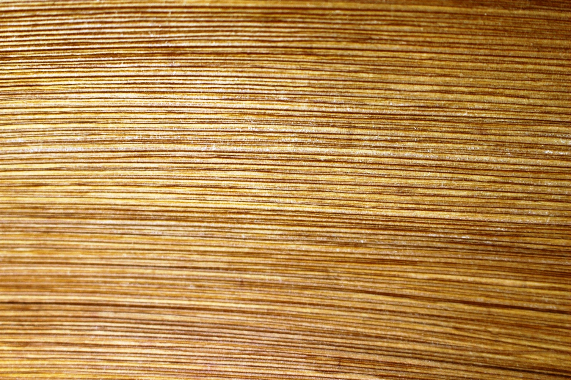 Background Wood Texture Background
