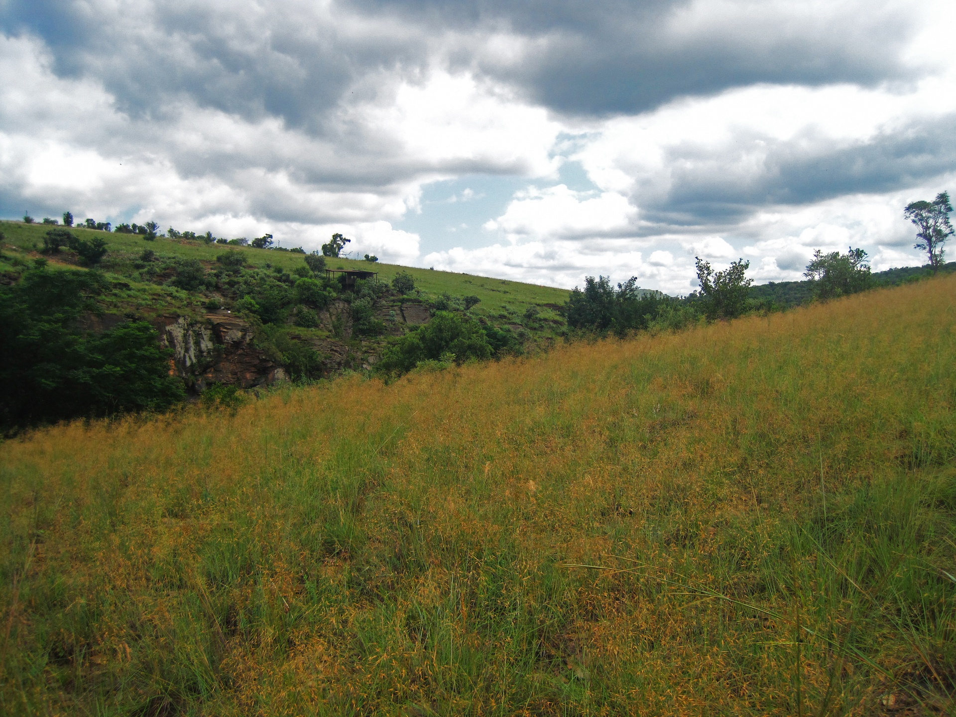 Tráva pokryta svažitý kopec