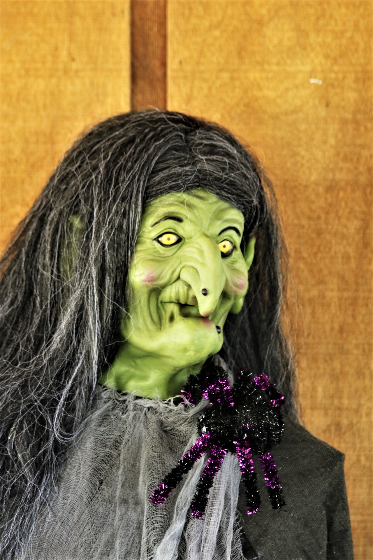 Retrato de bruxa de Halloween