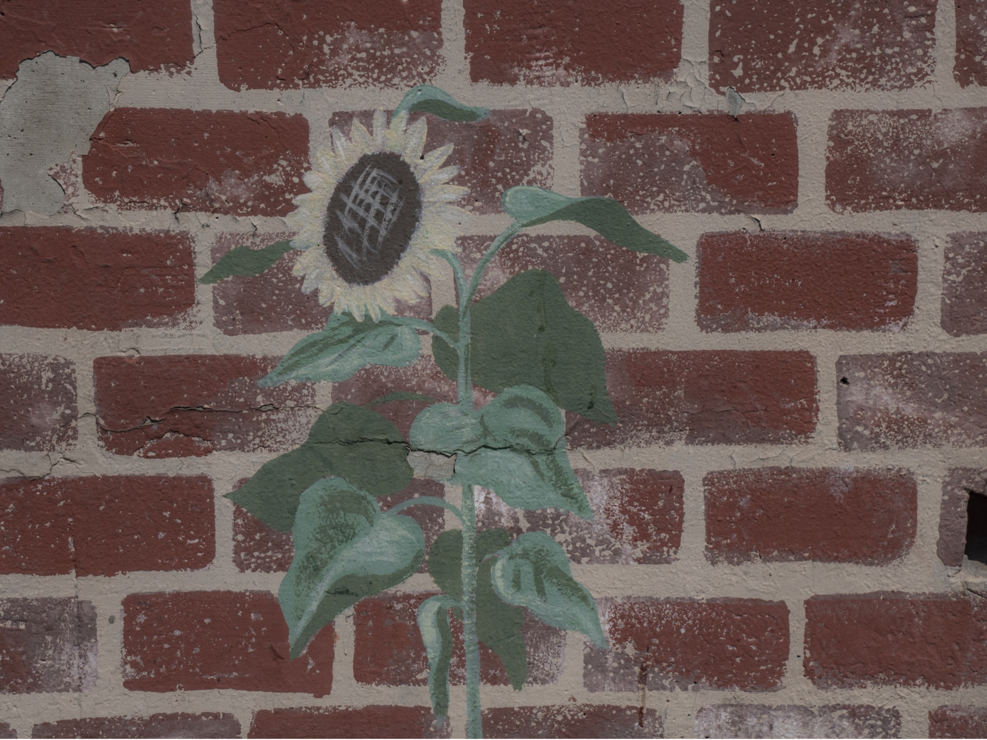 Hand Painted Flower On Brick