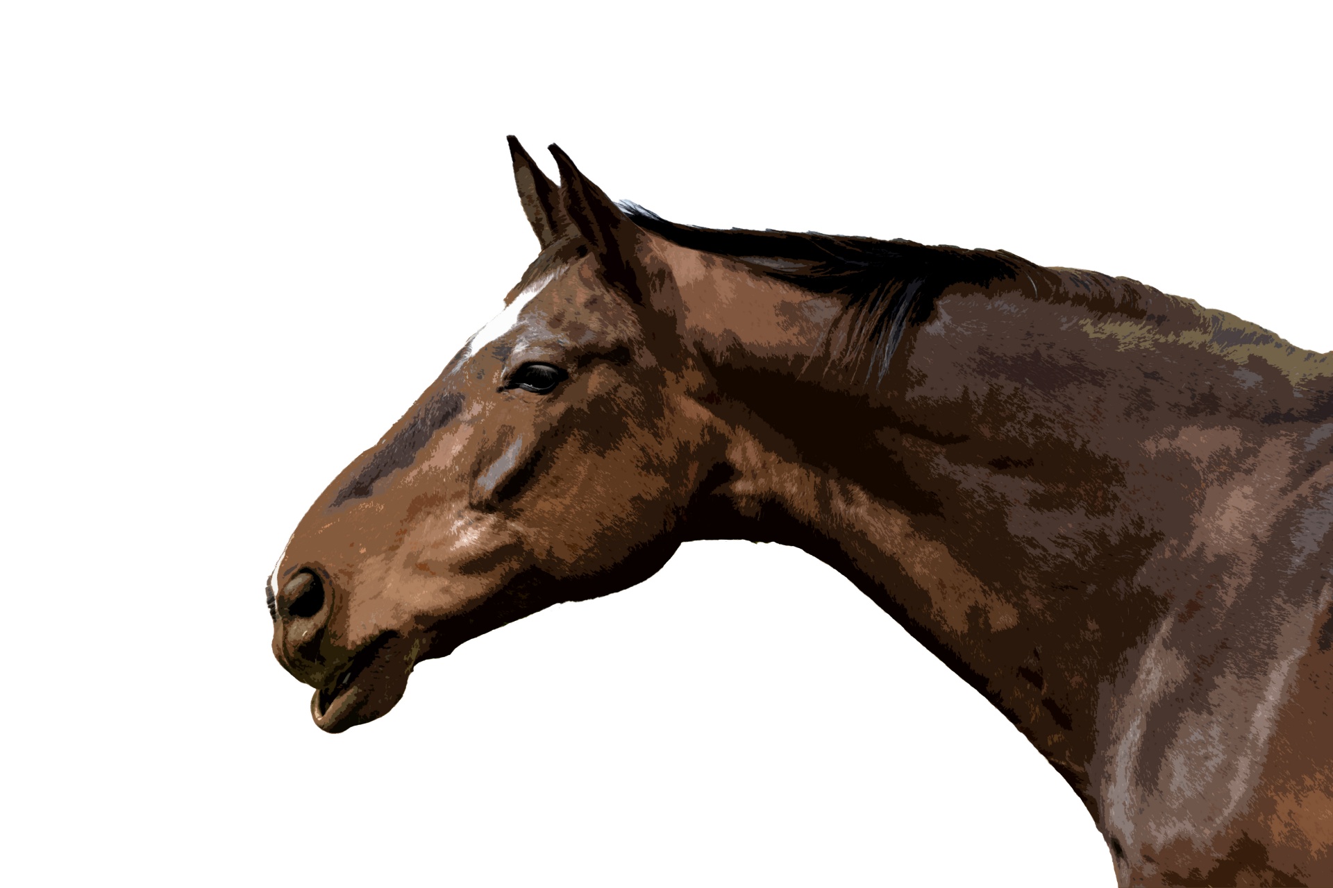 Pintura de retrato de cabeza de caballo