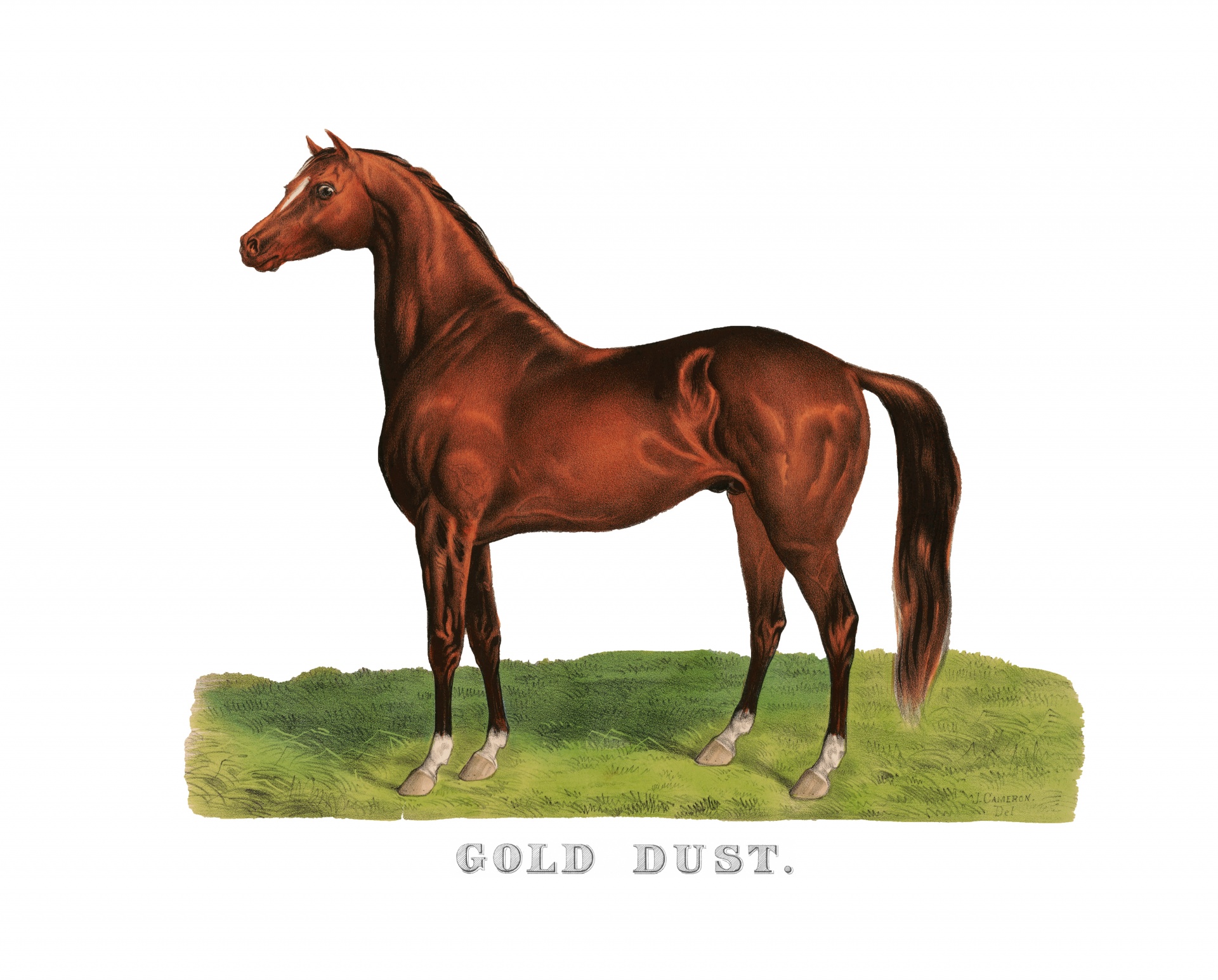 Impresión vintage de pintura de caballo